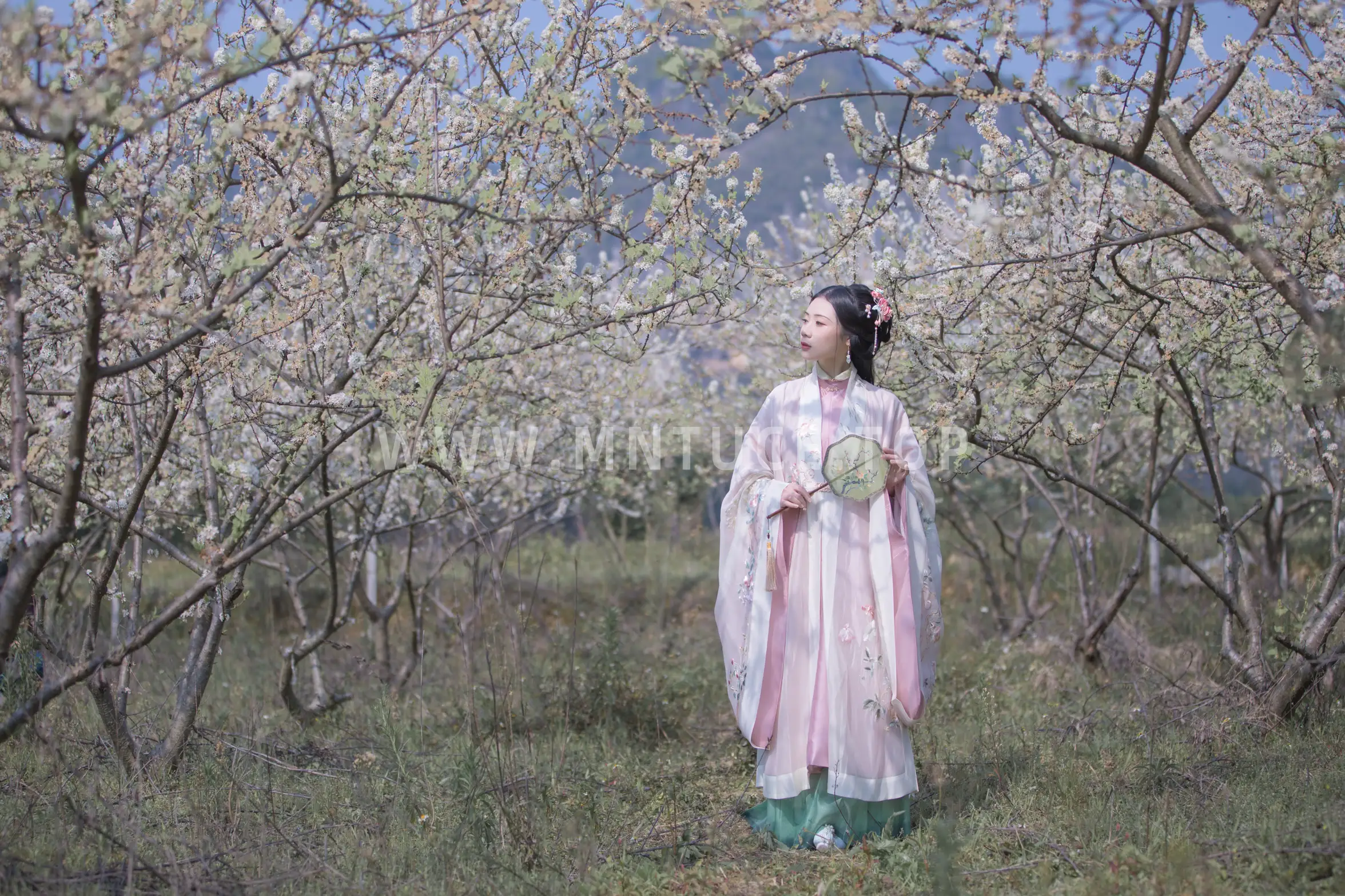 [艺图语] 2022.06.15 Vol.1189 疏影#[23P]-4