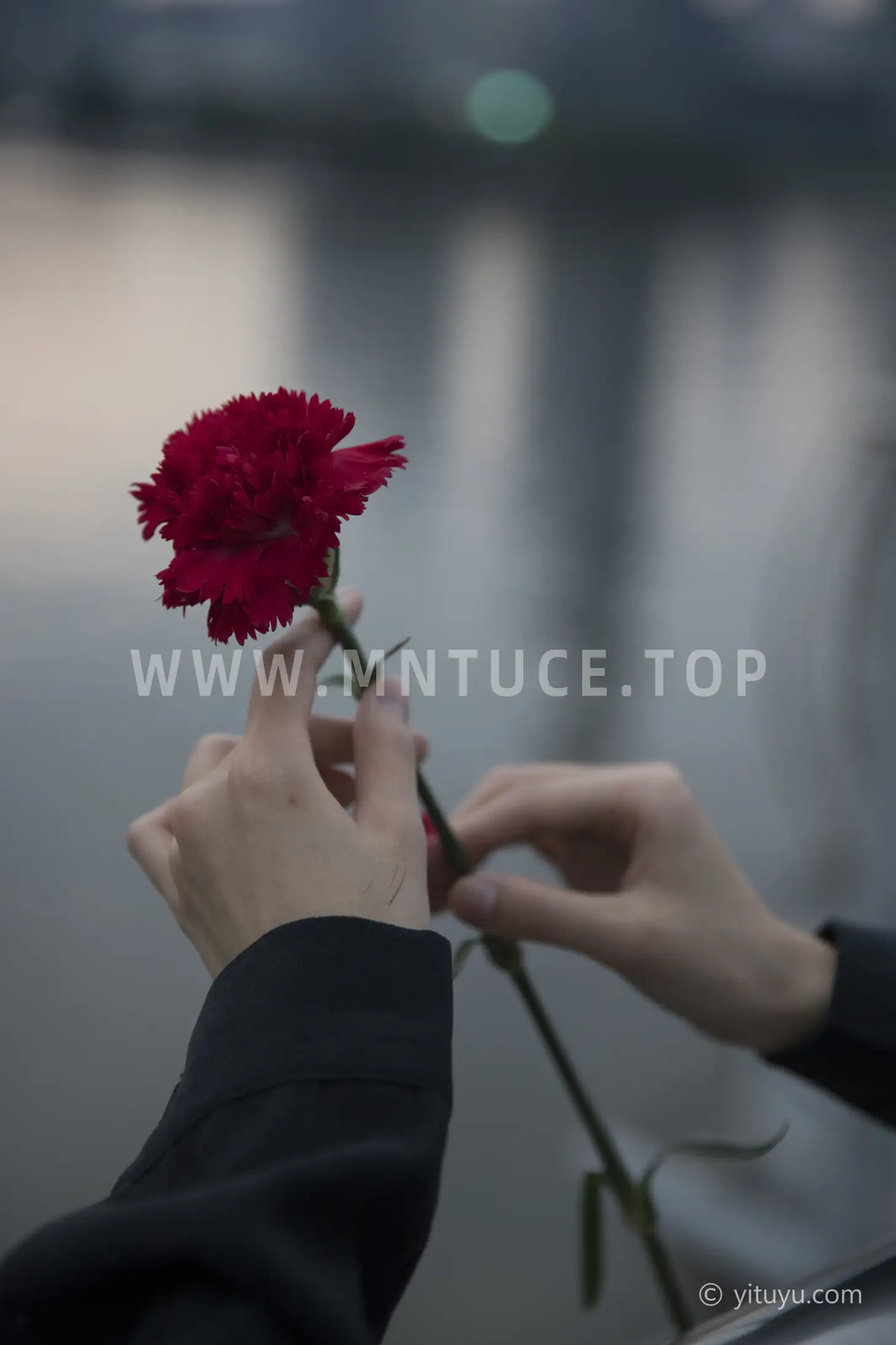 [艺图语] 2021.06.16 Vol.074 – 晚风 雨文#[33P]-8