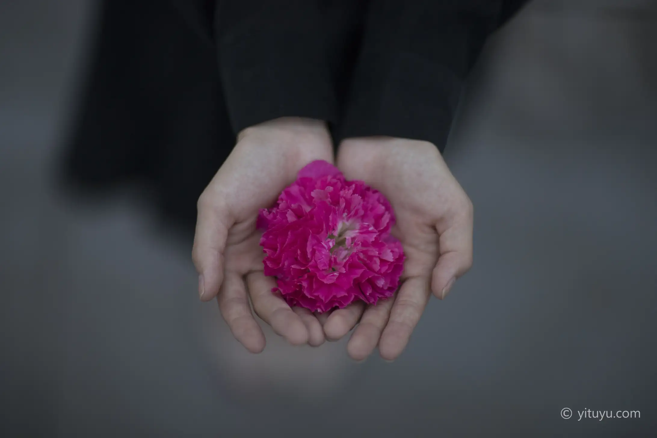 [艺图语] 2021.06.16 Vol.074 – 晚风 雨文#[33P]-10