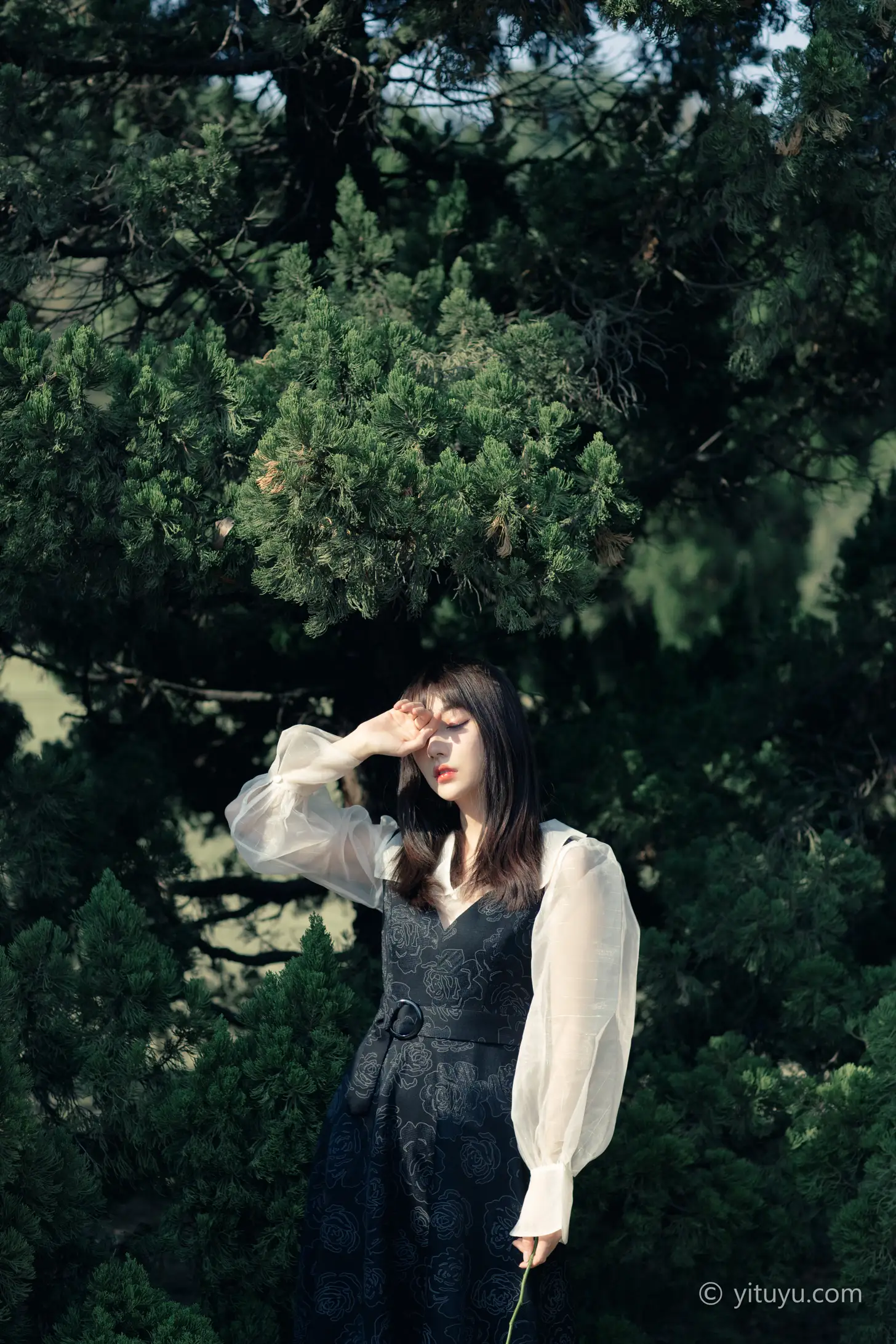 [艺图语] 2021.03.24 Vol.026 – 黑玫瑰 星星#[35P]-9
