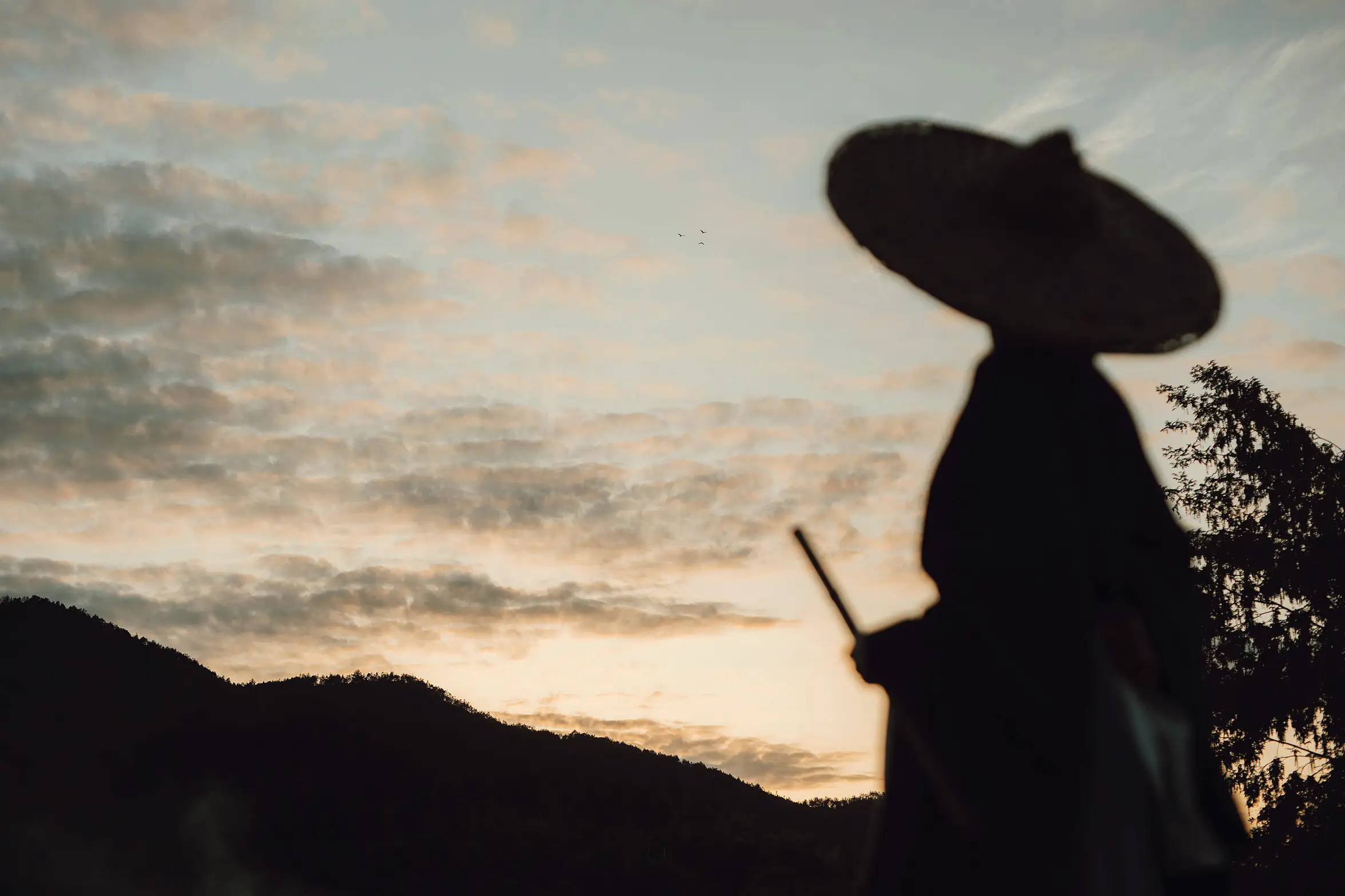 [艺图语] 2022.01.12 Vol.629 – 归园田居 含真#[27P]-9