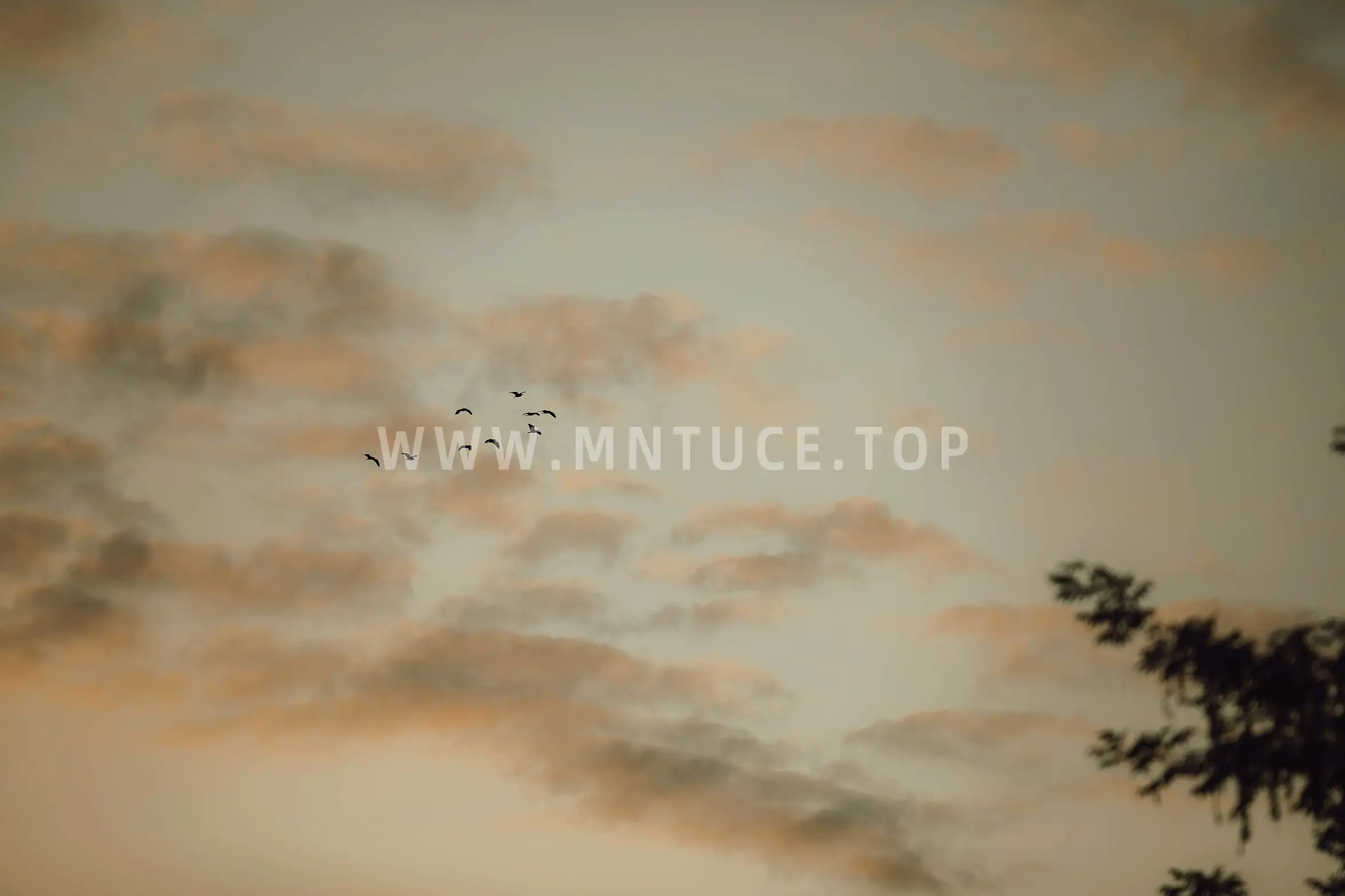 [艺图语] 2022.01.12 Vol.629 – 归园田居 含真#[27P]-10