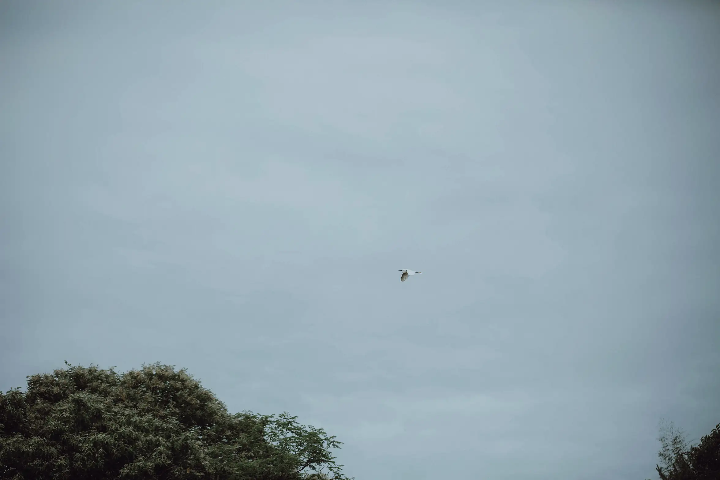 [艺图语] 2022.01.12 Vol.629 – 归园田居 含真#[27P]-1