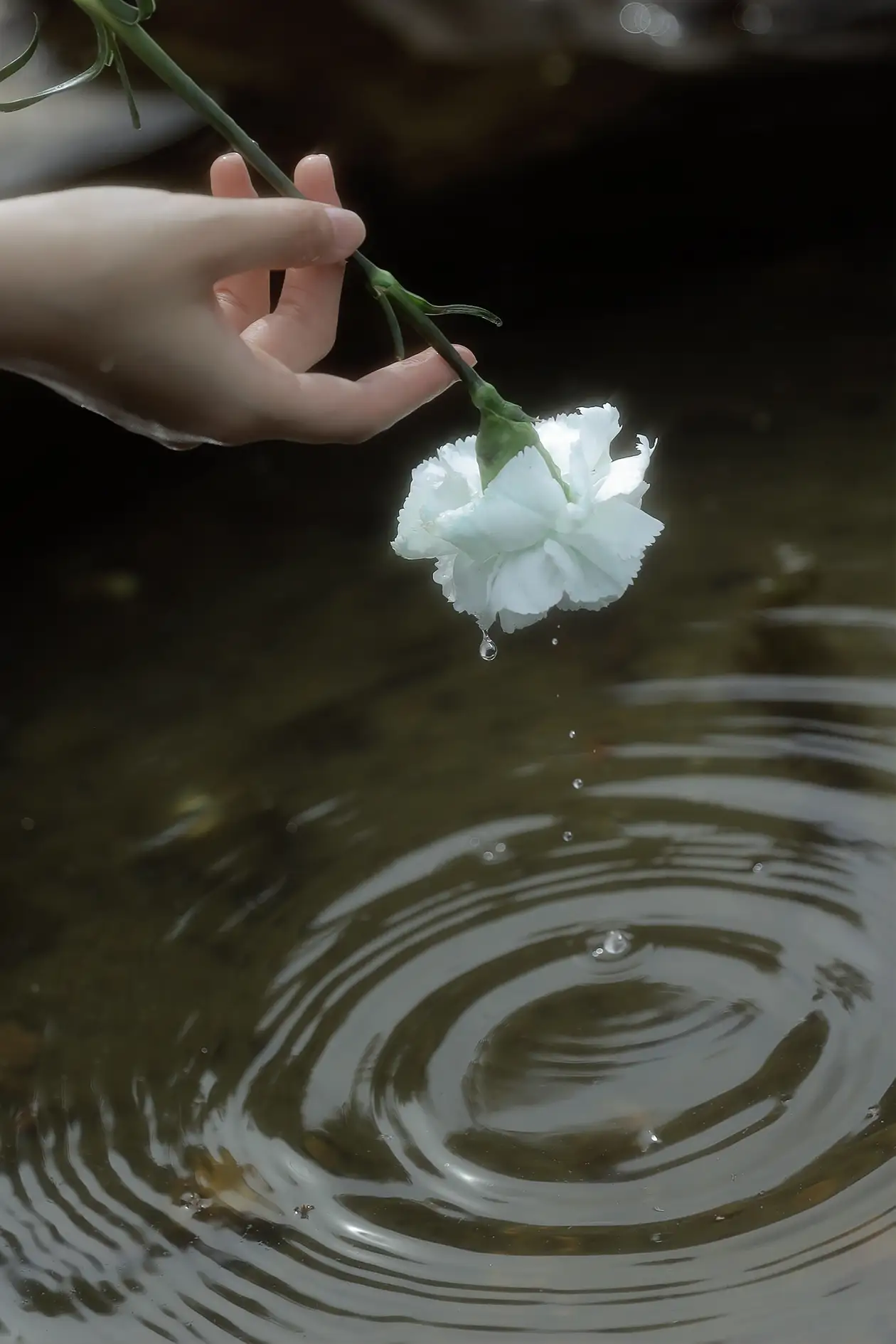 [艺图语] 2022.06.07 Vol.1106 – 回到森林 不齐#[25P]-5