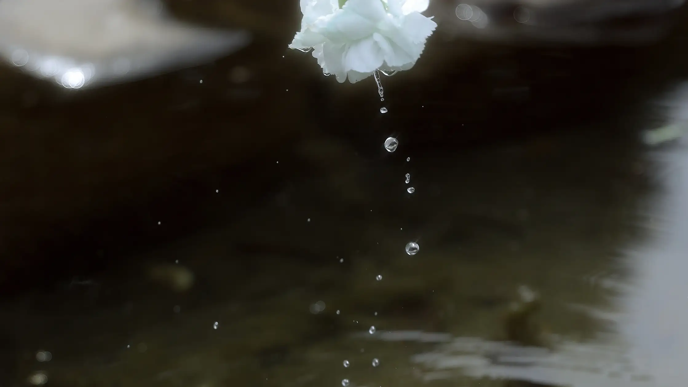 [艺图语] 2022.06.07 Vol.1106 – 回到森林 不齐#[25P]-8