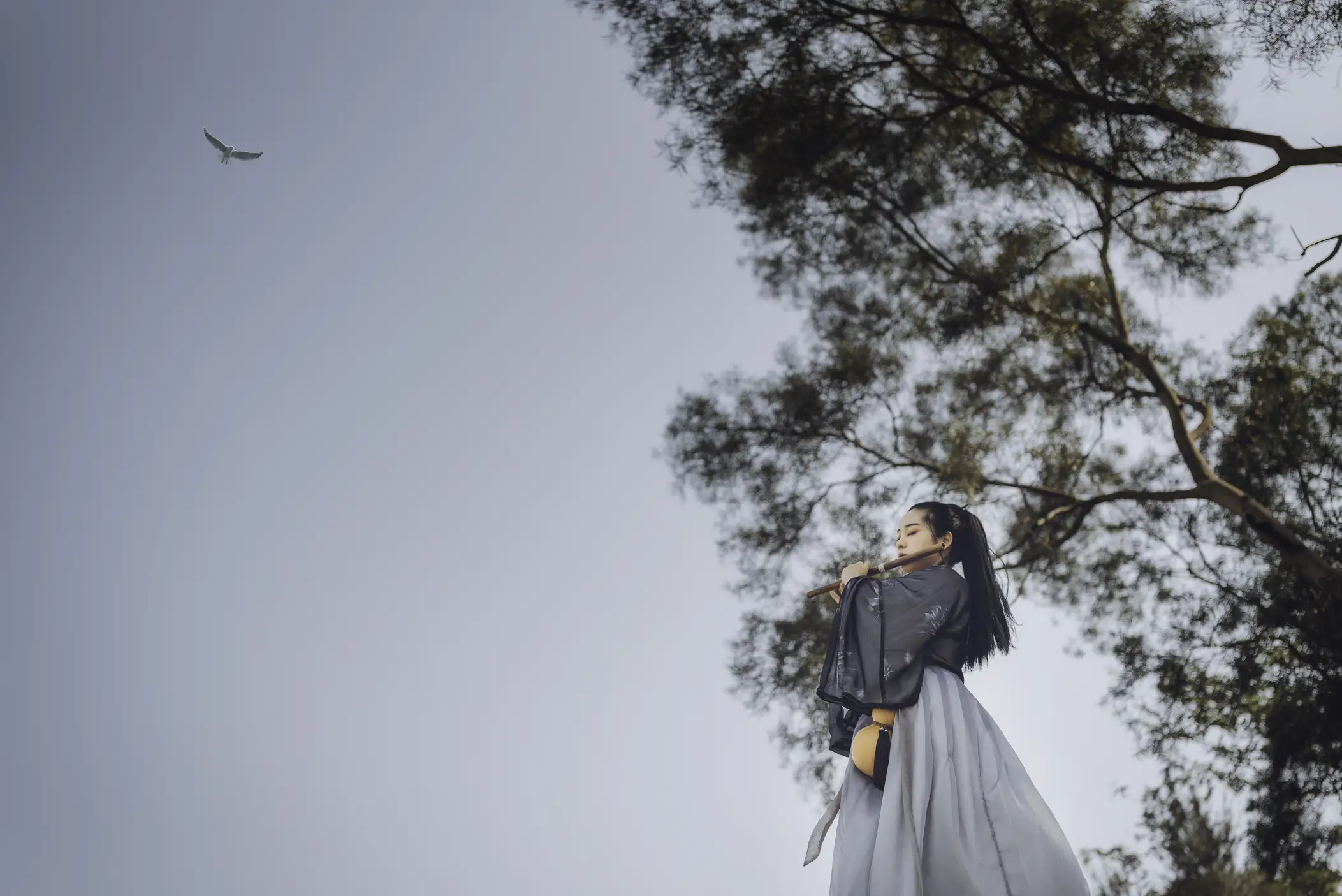 [艺图语] 2021.12.20 Vol.505 – 清风吟 煎饼#[33P]-1