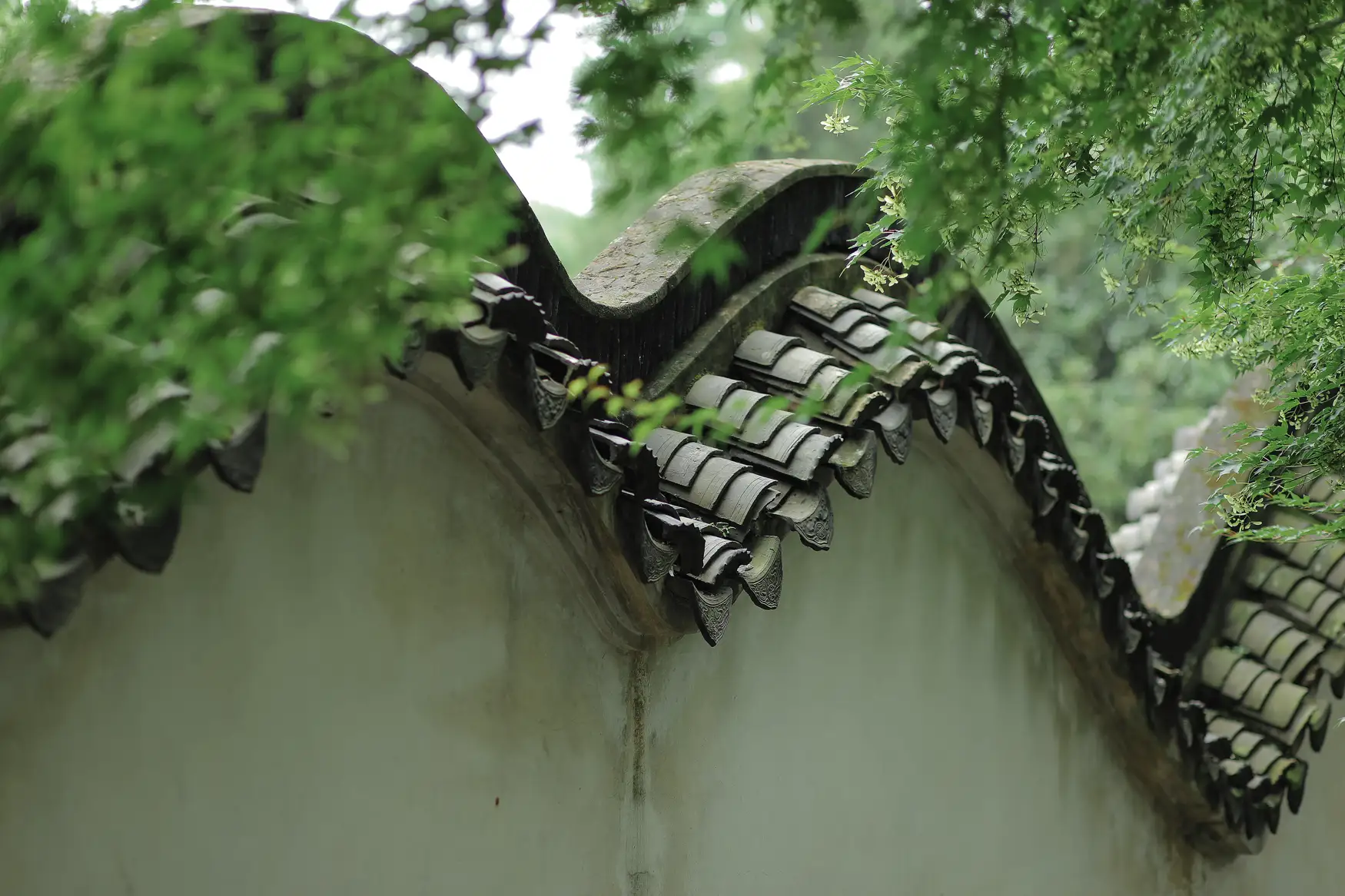 [艺图语] 2022.01.08 Vol.611 – 四月桃林 柳柳#[35P]-6