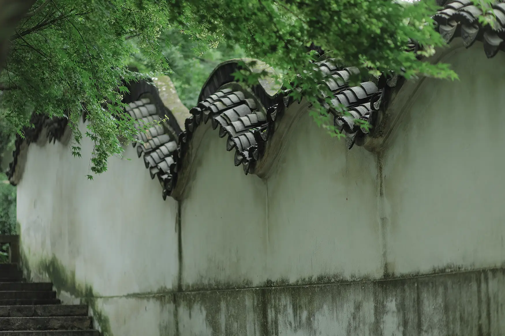 [艺图语] 2022.01.08 Vol.611 – 四月桃林 柳柳#[35P]-5