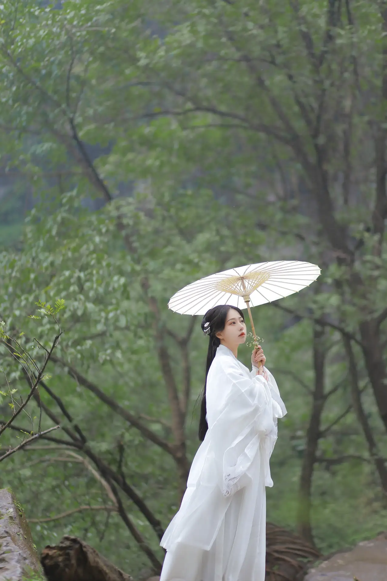 [艺图语] 2022.01.27 Vol.714 – 水龙吟 小拾柒#[36P]-3