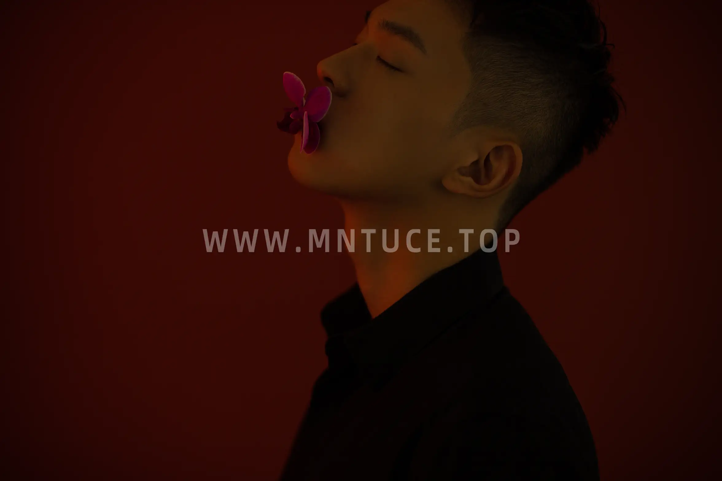 [艺图语] 2021.08.25 Vol.176 – 颜色 高浩泽#[25P]-8