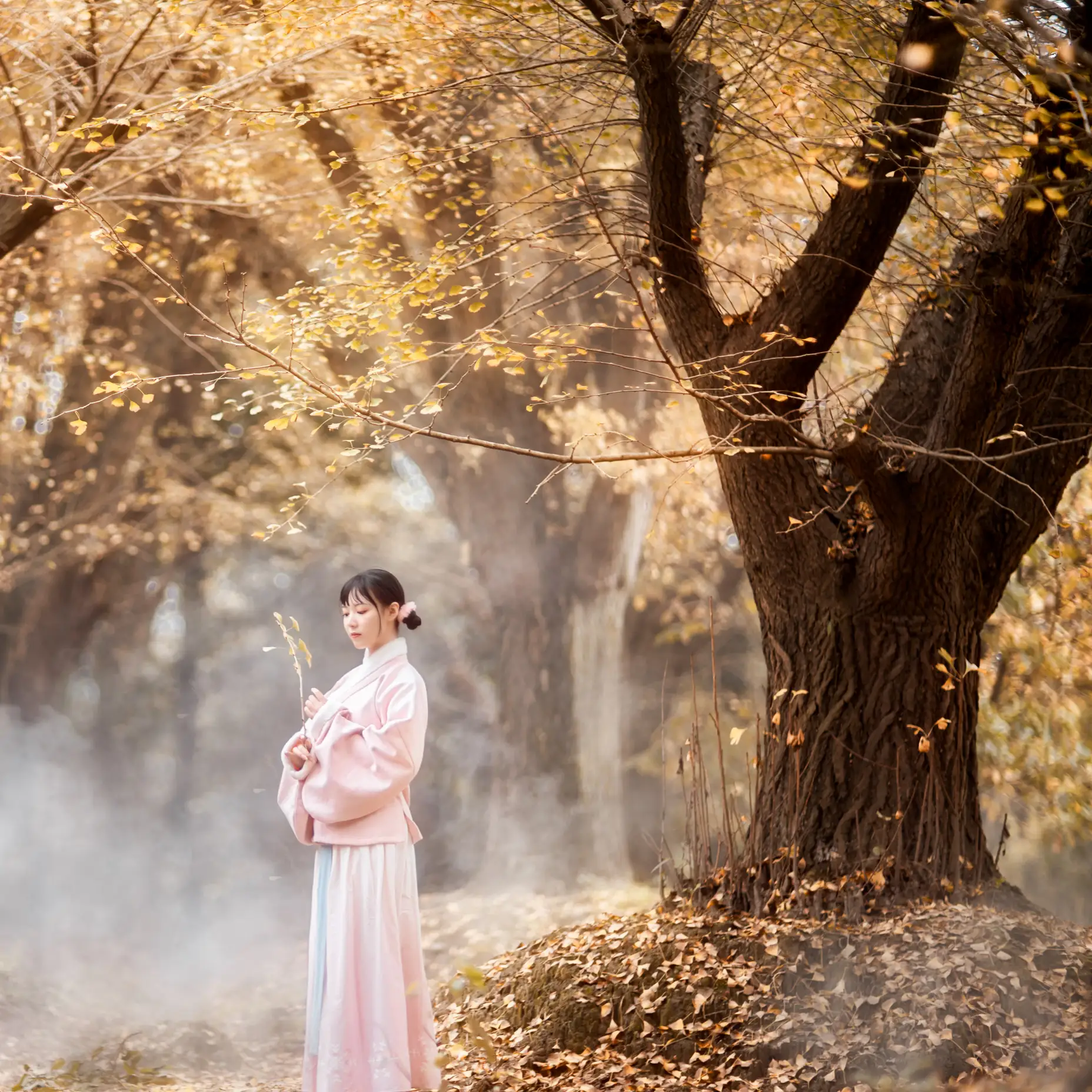[艺图语] 2021.12.18 Vol.502 – 杏仙歌 李太白#[32P]-3