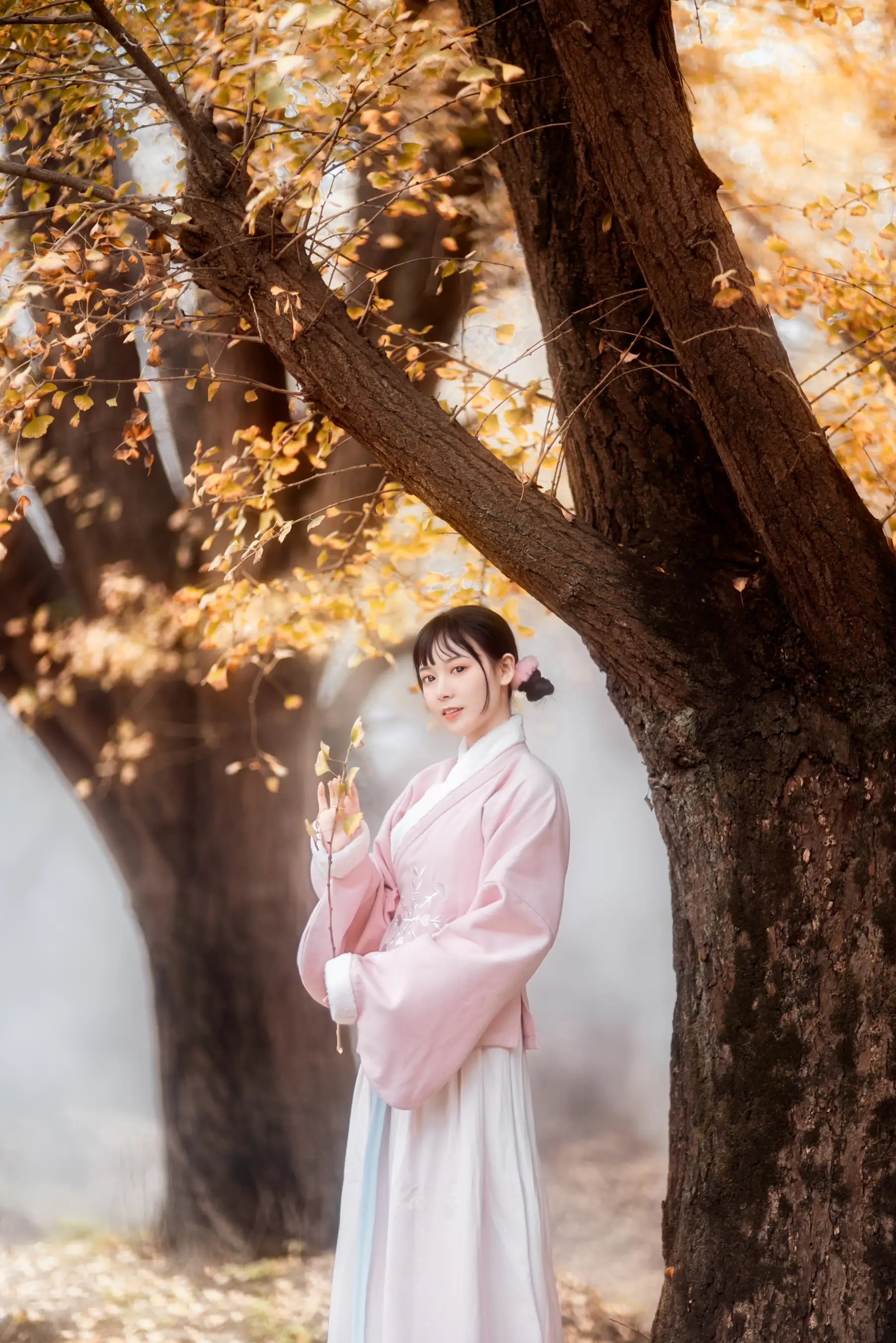 [艺图语] 2021.12.18 Vol.502 – 杏仙歌 李太白#[32P]-10