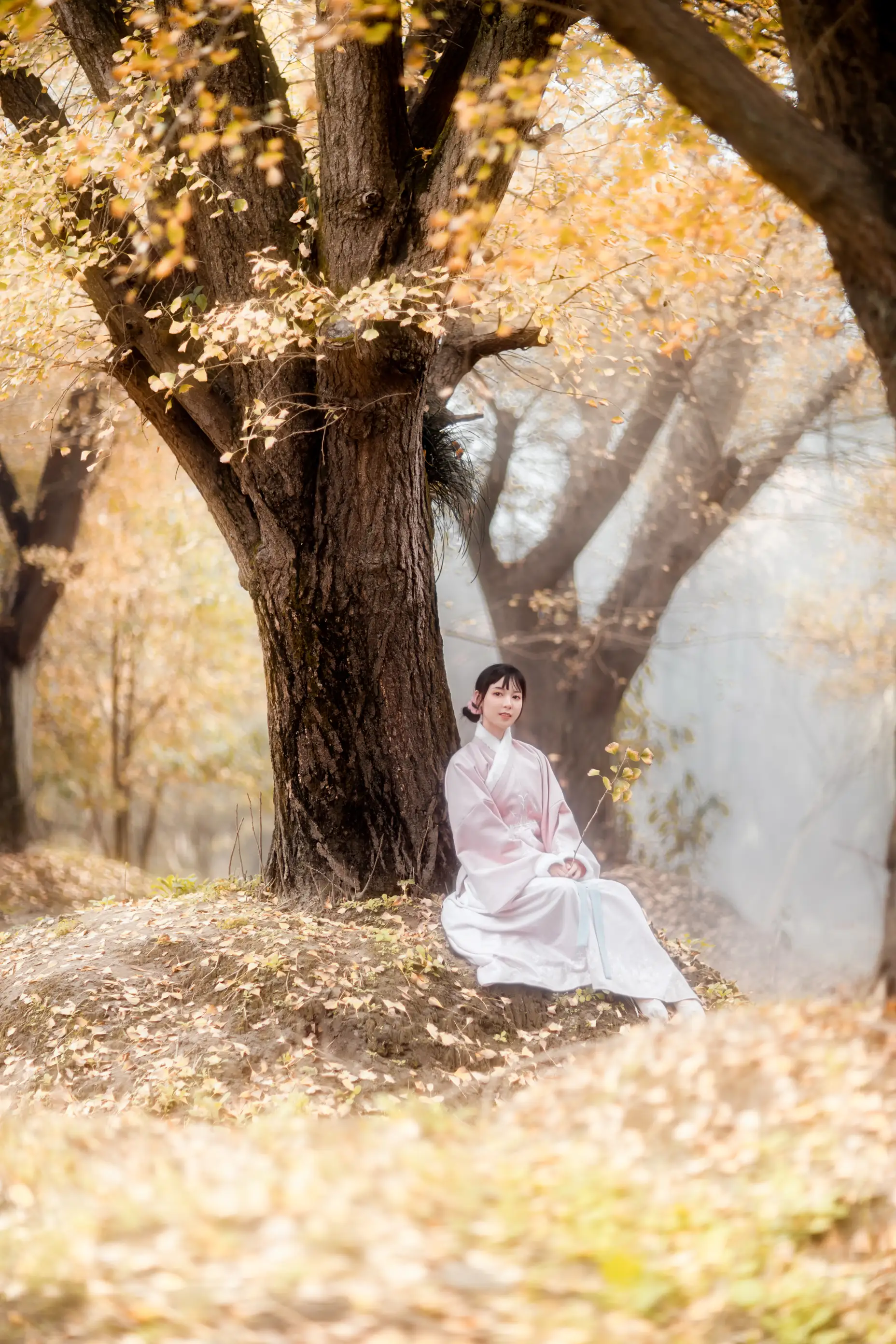 [艺图语] 2021.12.18 Vol.502 – 杏仙歌 李太白#[32P]-2