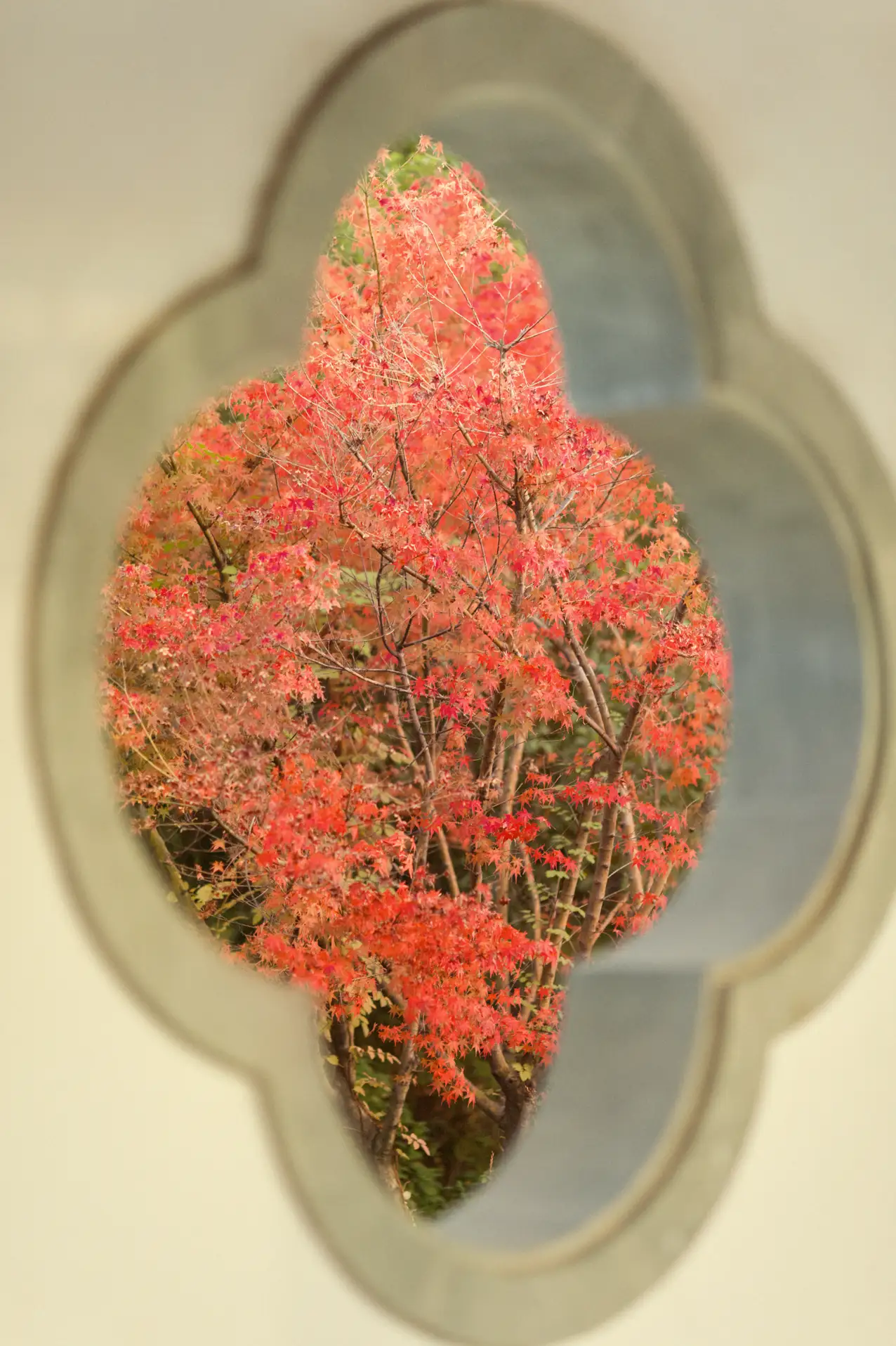 [艺图语] 2021.09.01 Vol.207 – 丹枫入秋 门门#[28P]-4