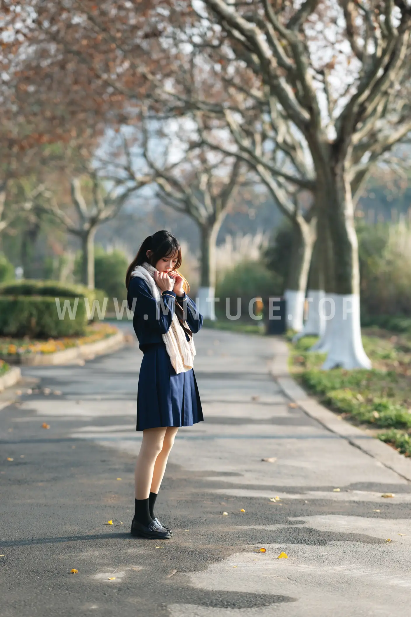 [艺图语] 2022.07.01 Vol.1340 – 初冬 兔子Zzz不吃胡萝卜#[35P]-9