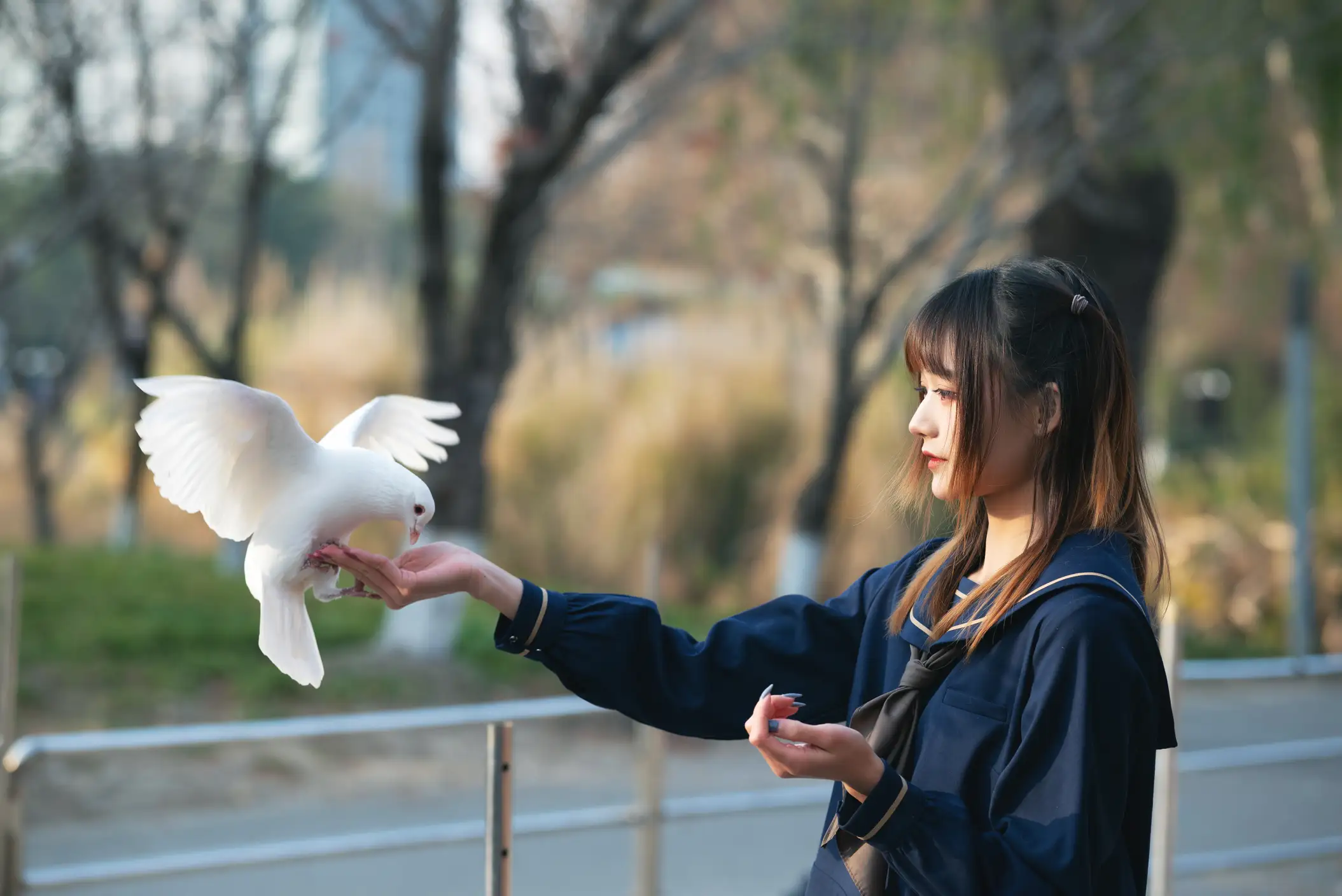 [艺图语] 2022.07.01 Vol.1340 – 初冬 兔子Zzz不吃胡萝卜#[35P]-1