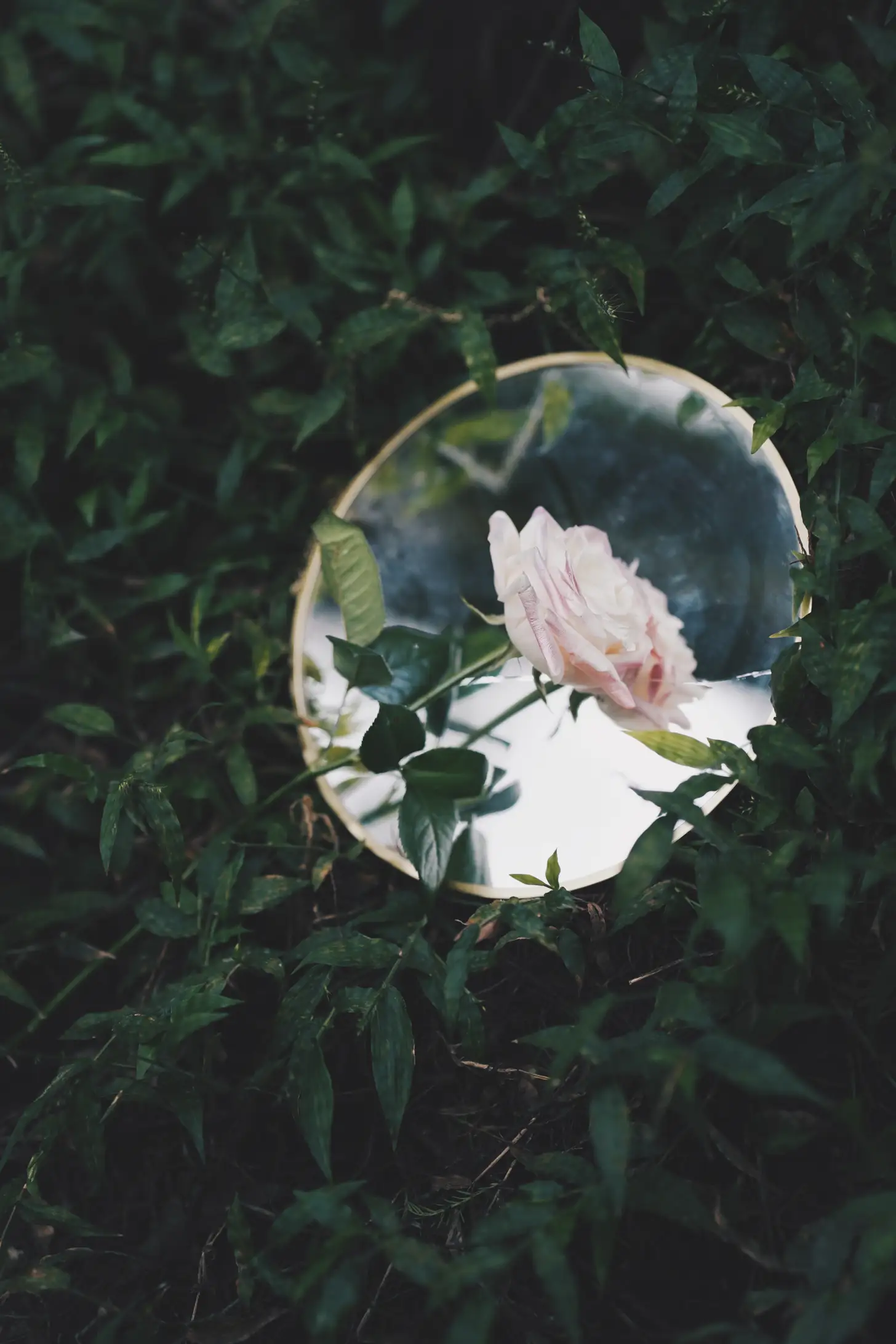 [艺图语] 2022.05.12 Vol.856 – 闯入迷雾森林 兔子Zzz不吃胡萝卜#[26P]-6