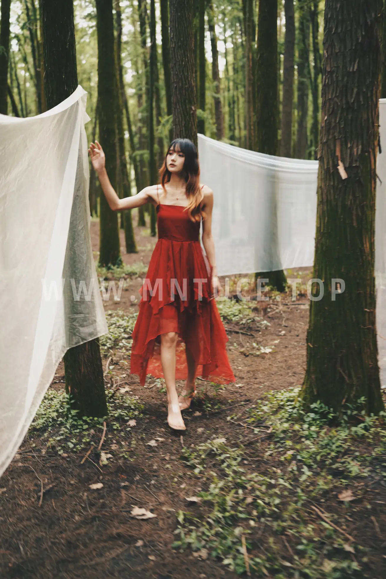 [艺图语] 2022.05.12 Vol.856 – 闯入迷雾森林 兔子Zzz不吃胡萝卜#[26P]-10