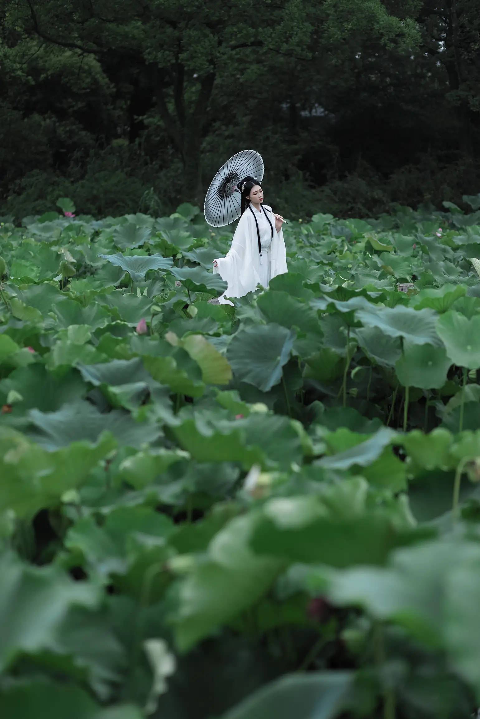 [艺图语] 2022.02.02 Vol.737 – 层波潋滟远山横 一笑一倾城 柳柳杨柳柳_#[23P]-1