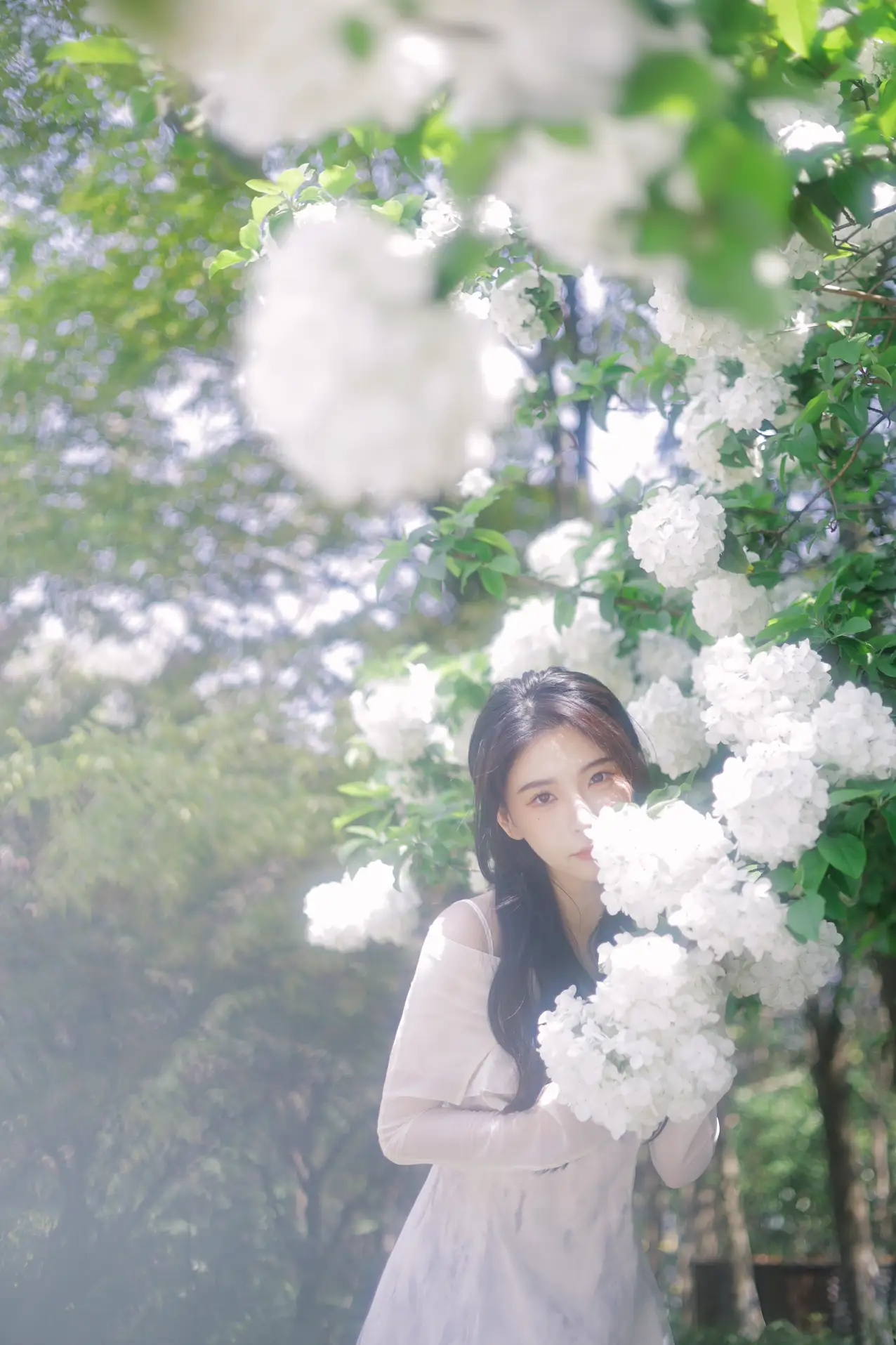 [艺图语] 2022.07.09 Vol.1424 – 椿 榕榕#[42P]-1