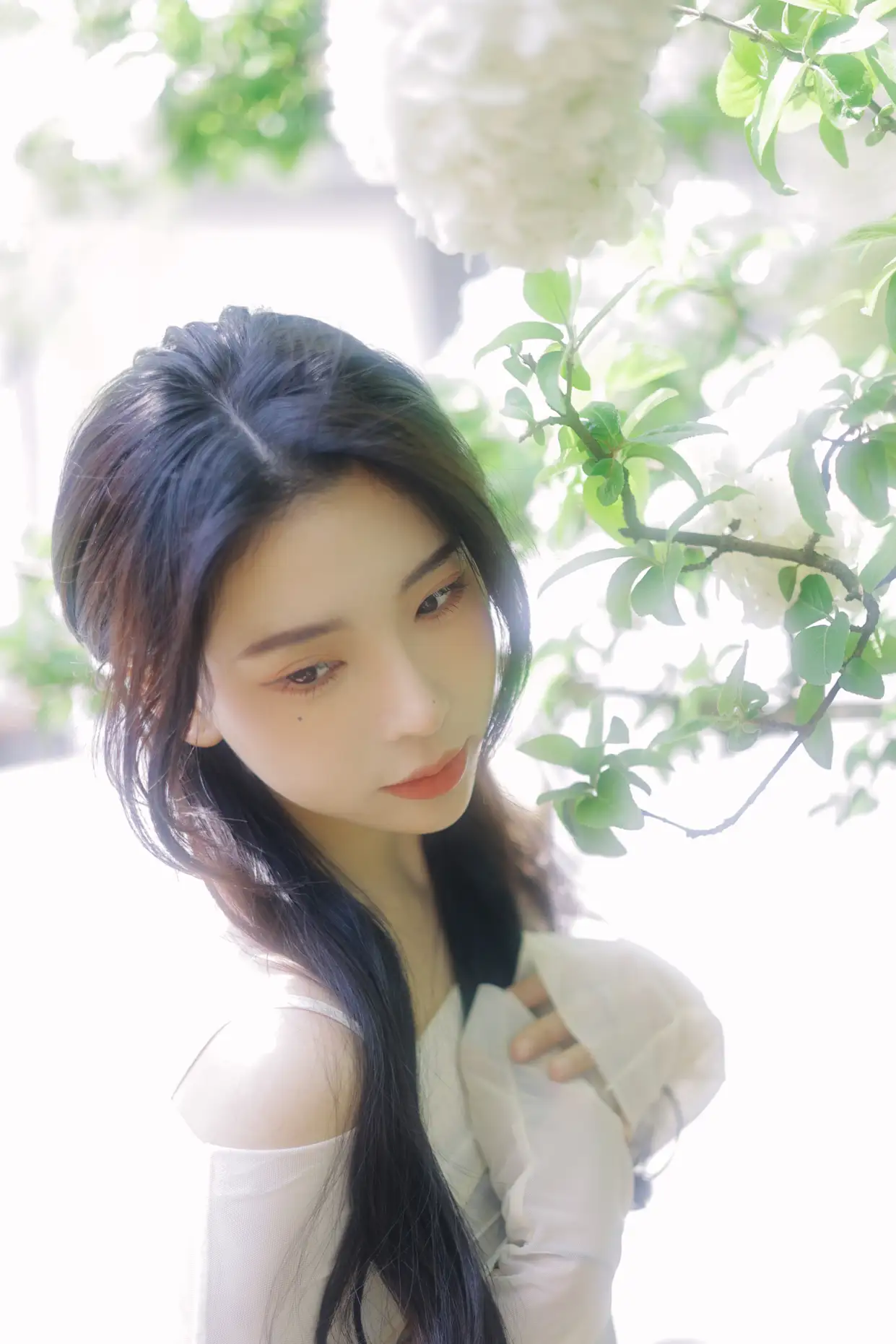 [艺图语] 2022.07.09 Vol.1424 – 椿 榕榕#[42P]-6