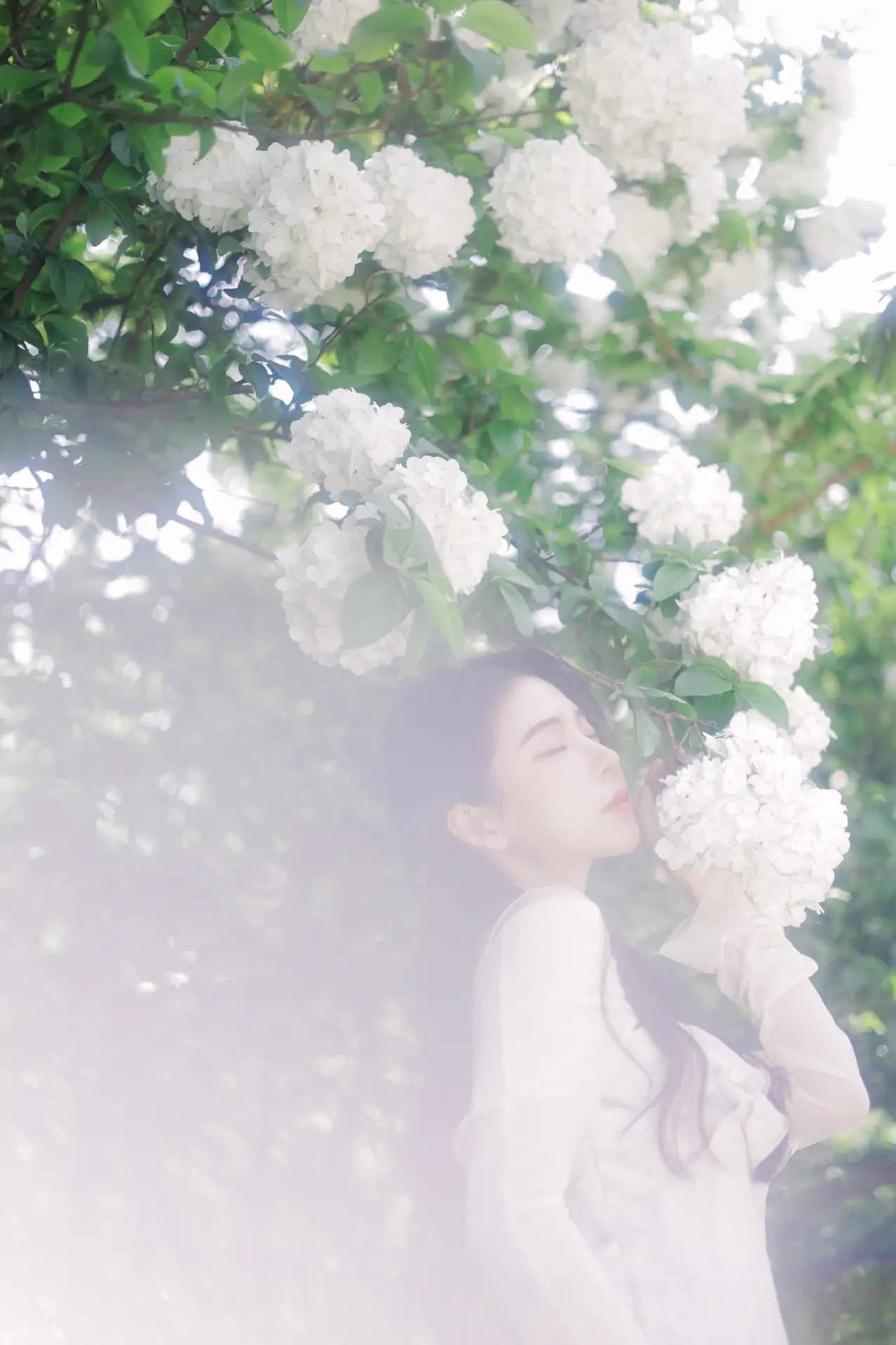 [艺图语] 2022.07.09 Vol.1424 – 椿 榕榕#[42P]-7