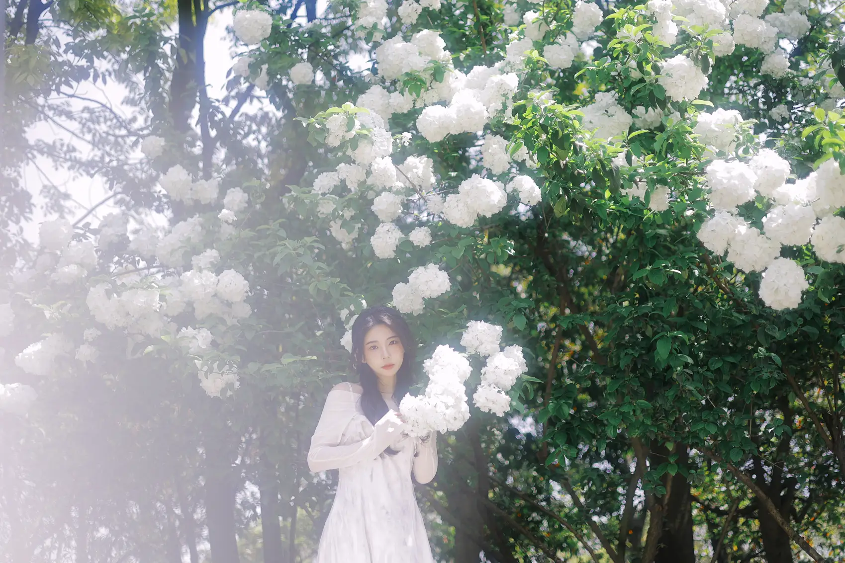 [艺图语] 2022.07.09 Vol.1424 – 椿 榕榕#[42P]-10