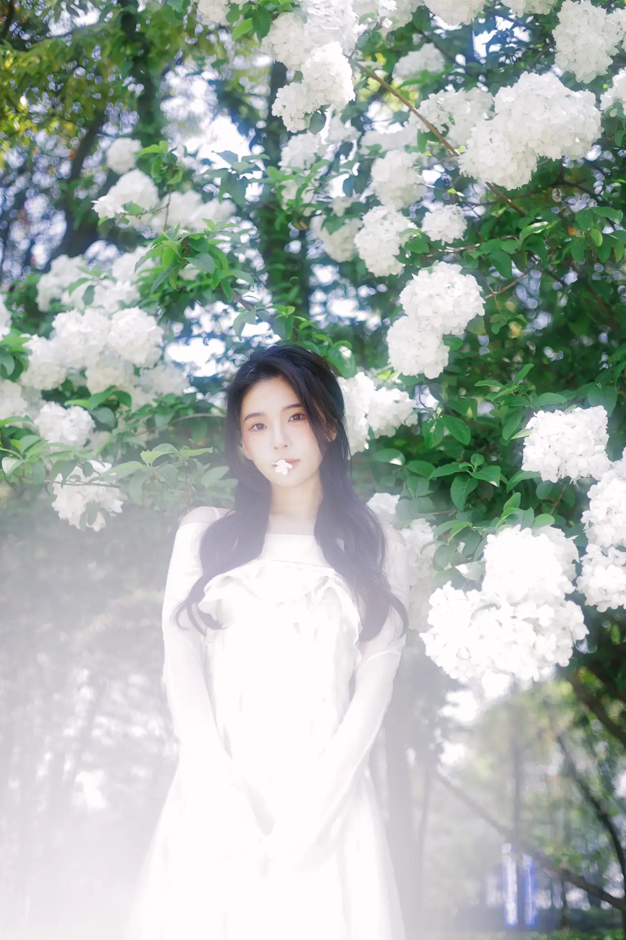 [艺图语] 2022.07.09 Vol.1424 – 椿 榕榕#[42P]-6