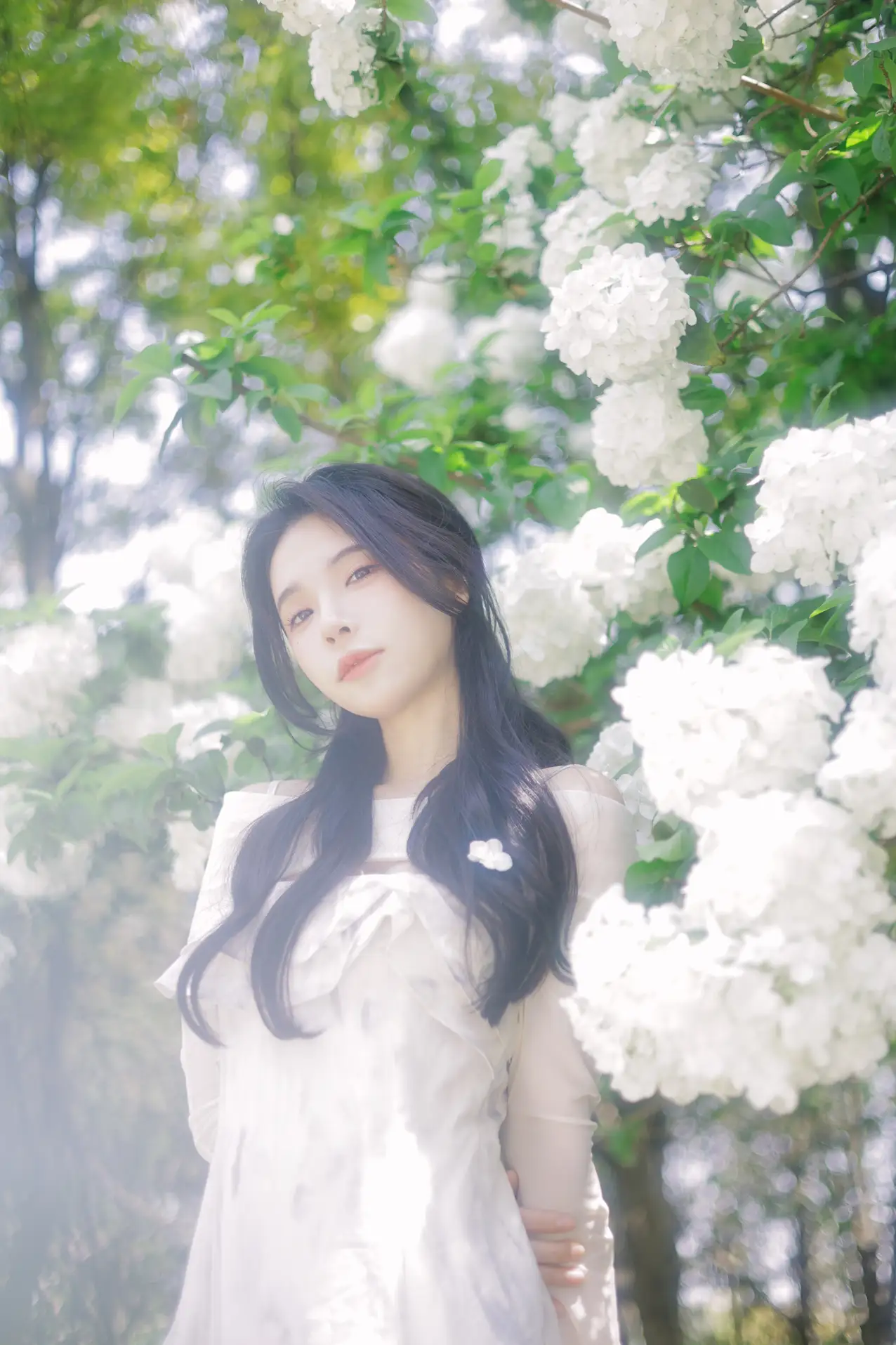 [艺图语] 2022.07.09 Vol.1424 – 椿 榕榕#[42P]-7