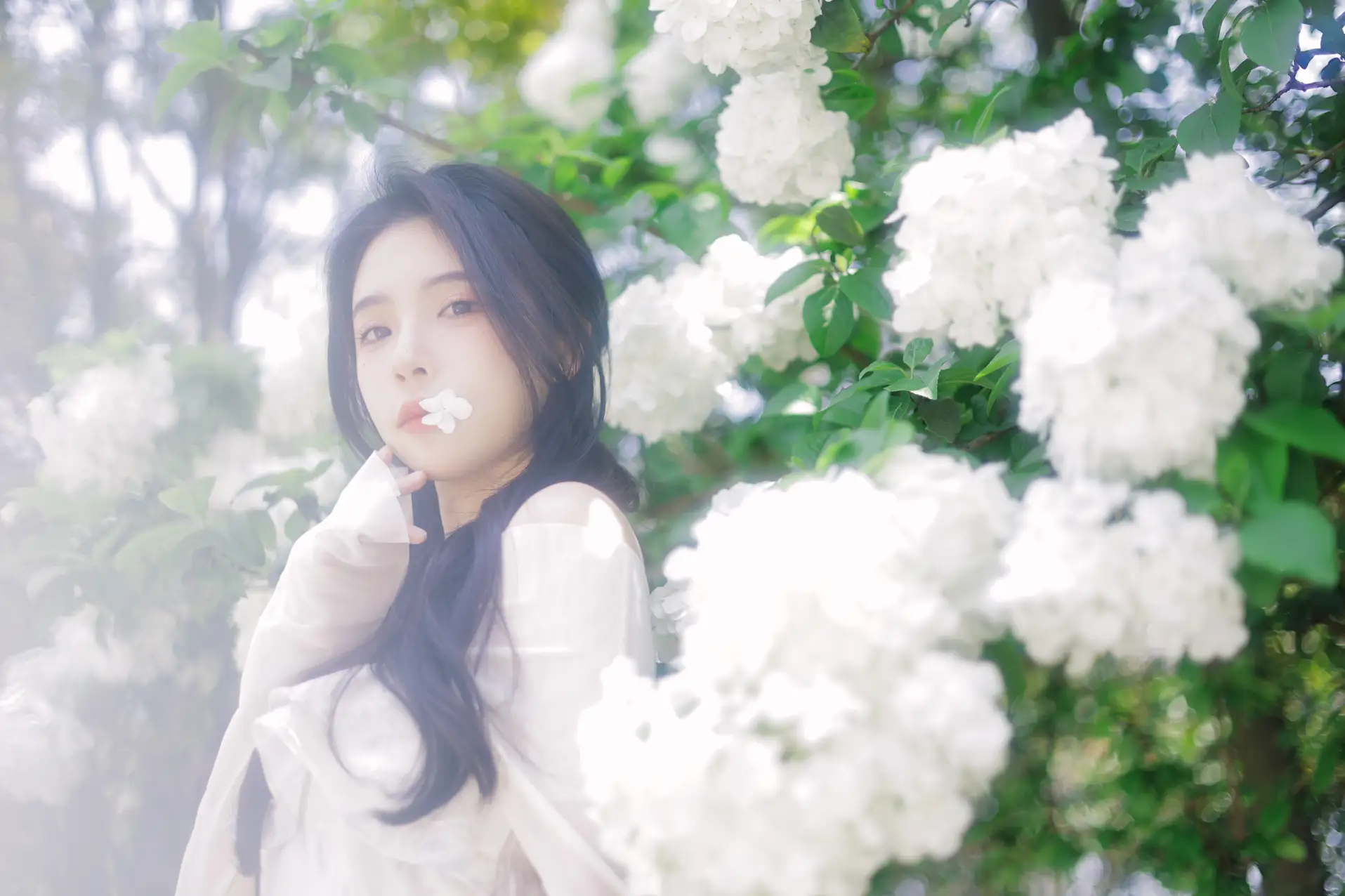 [艺图语] 2022.07.09 Vol.1424 – 椿 榕榕#[42P]-9