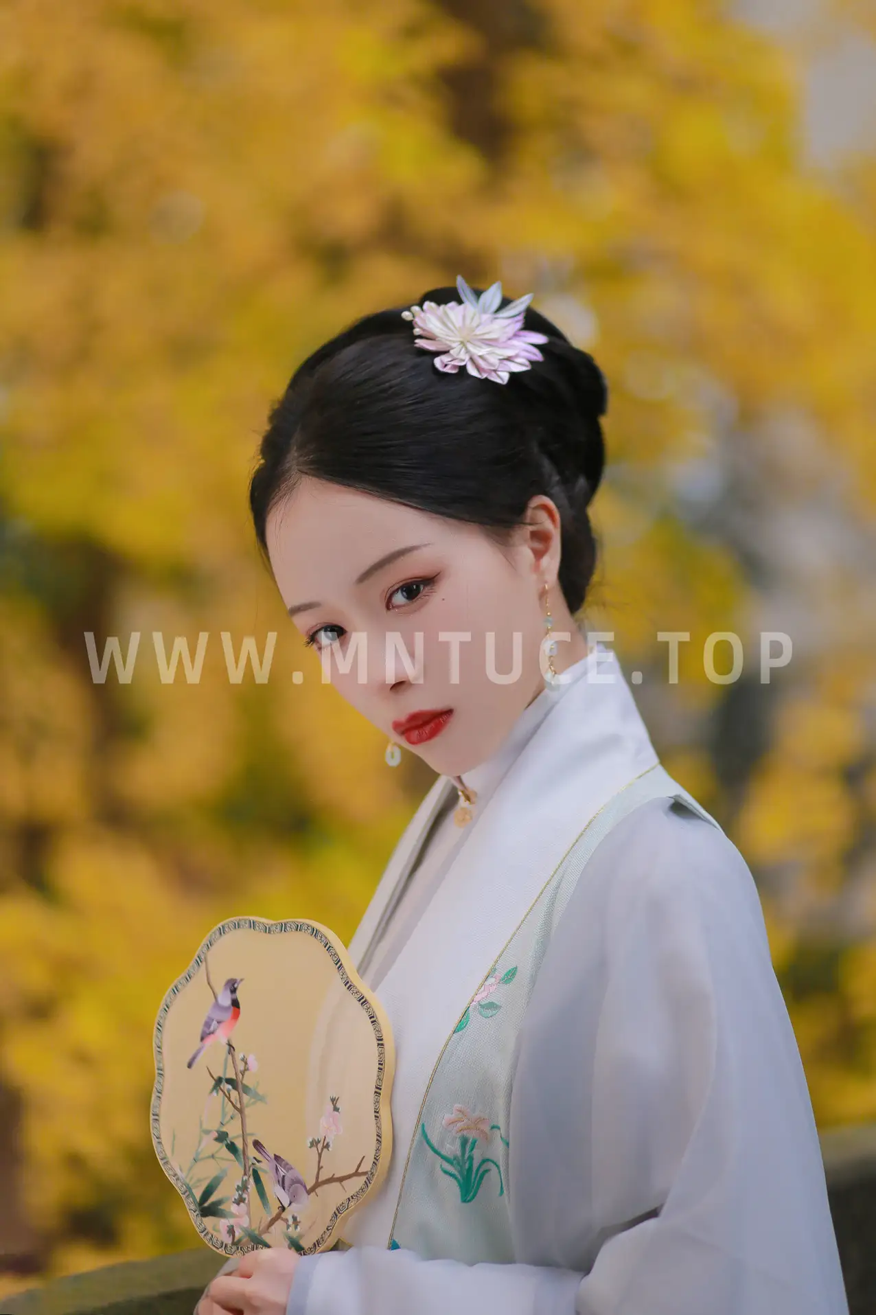 [艺图语] 2022.02.17 Vol.816 – 银杏歌 花泽阮阮#[35P]-10