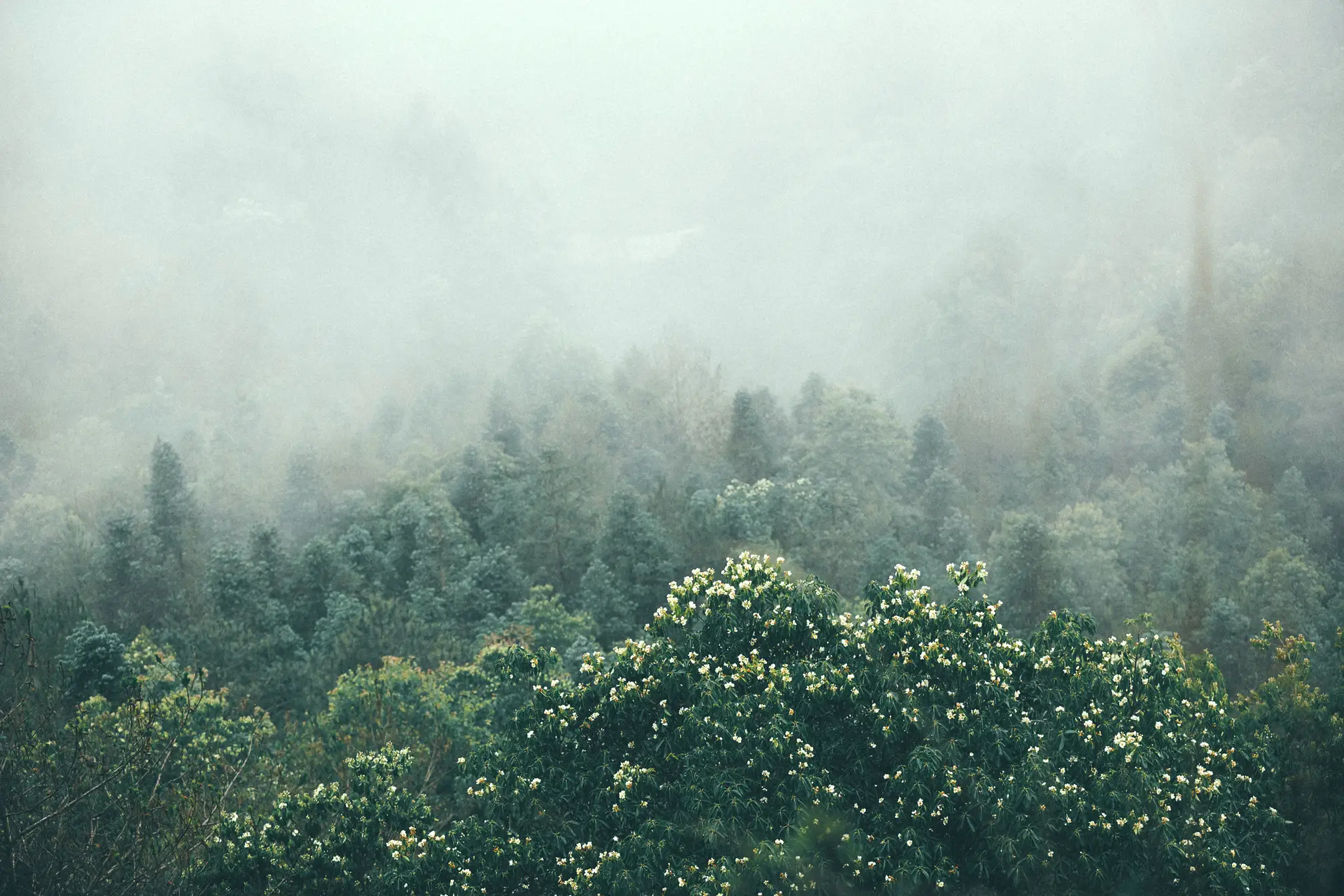 [艺图语] 2021.09.24 Vol.313 – 白云中 马崇道#[24P]-2