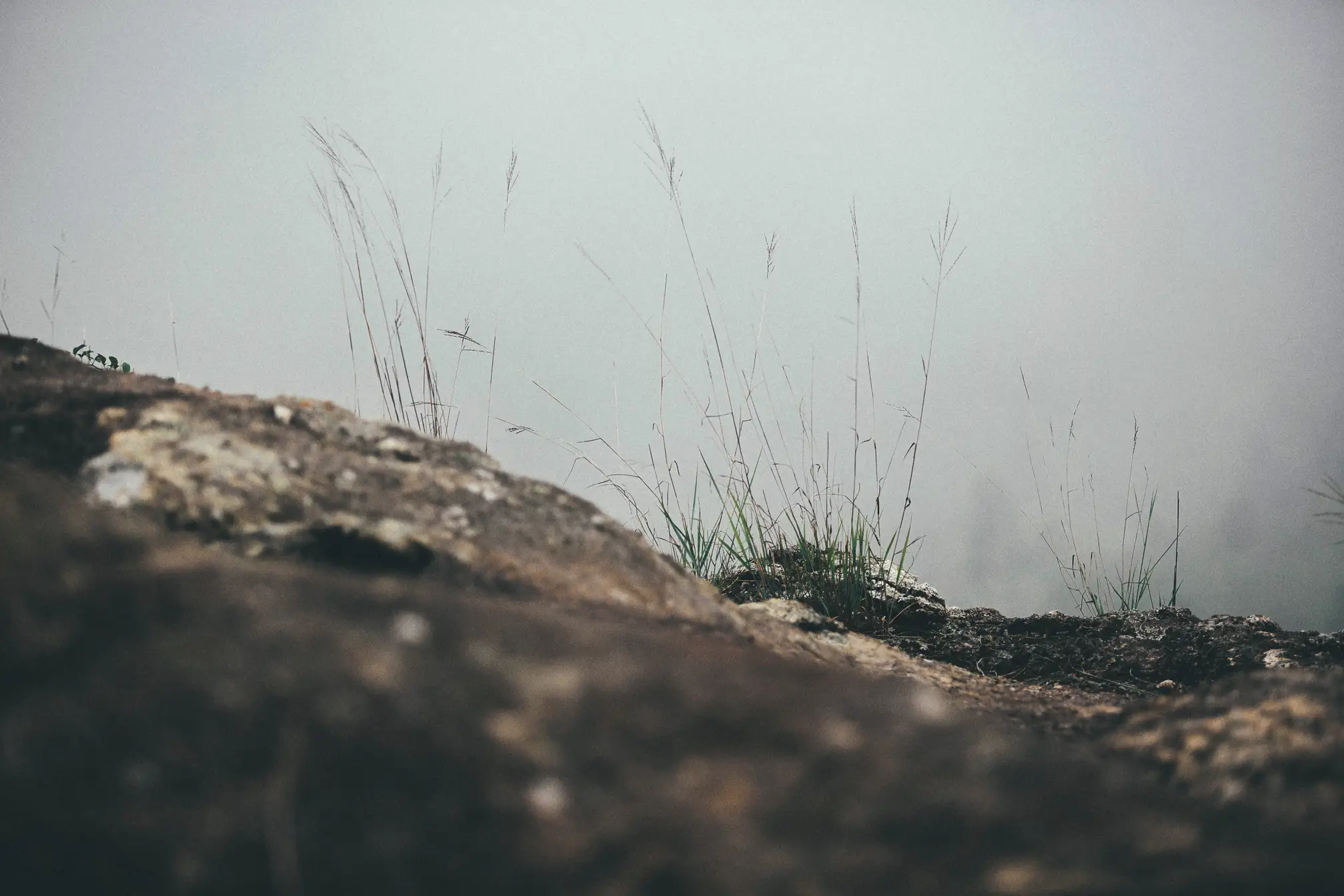 [艺图语] 2021.09.24 Vol.313 – 白云中 马崇道#[24P]-5