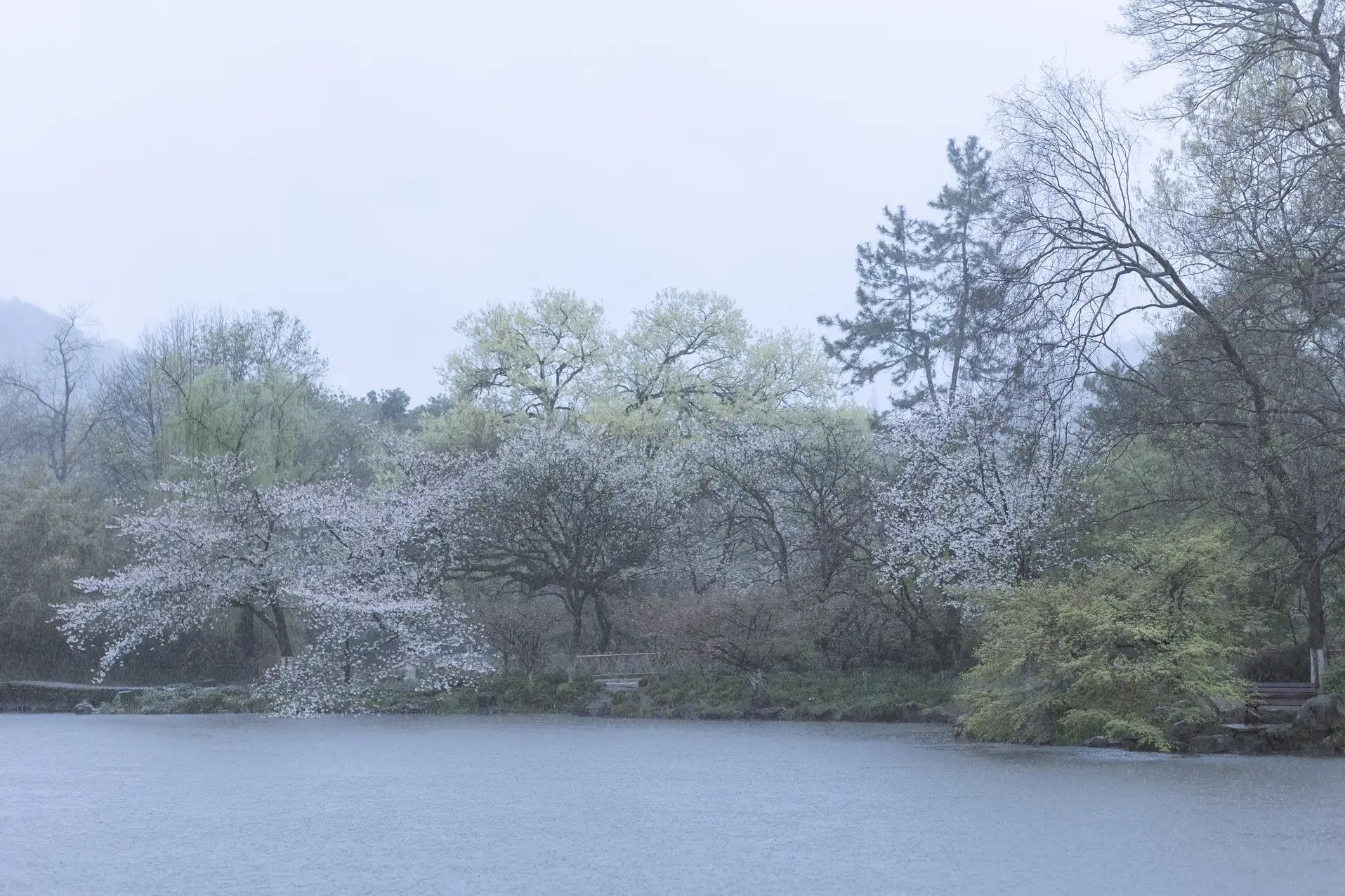 [艺图语] 2022.05.25 Vol.0984 – 雨樱花 眸小妖#[46P]-6