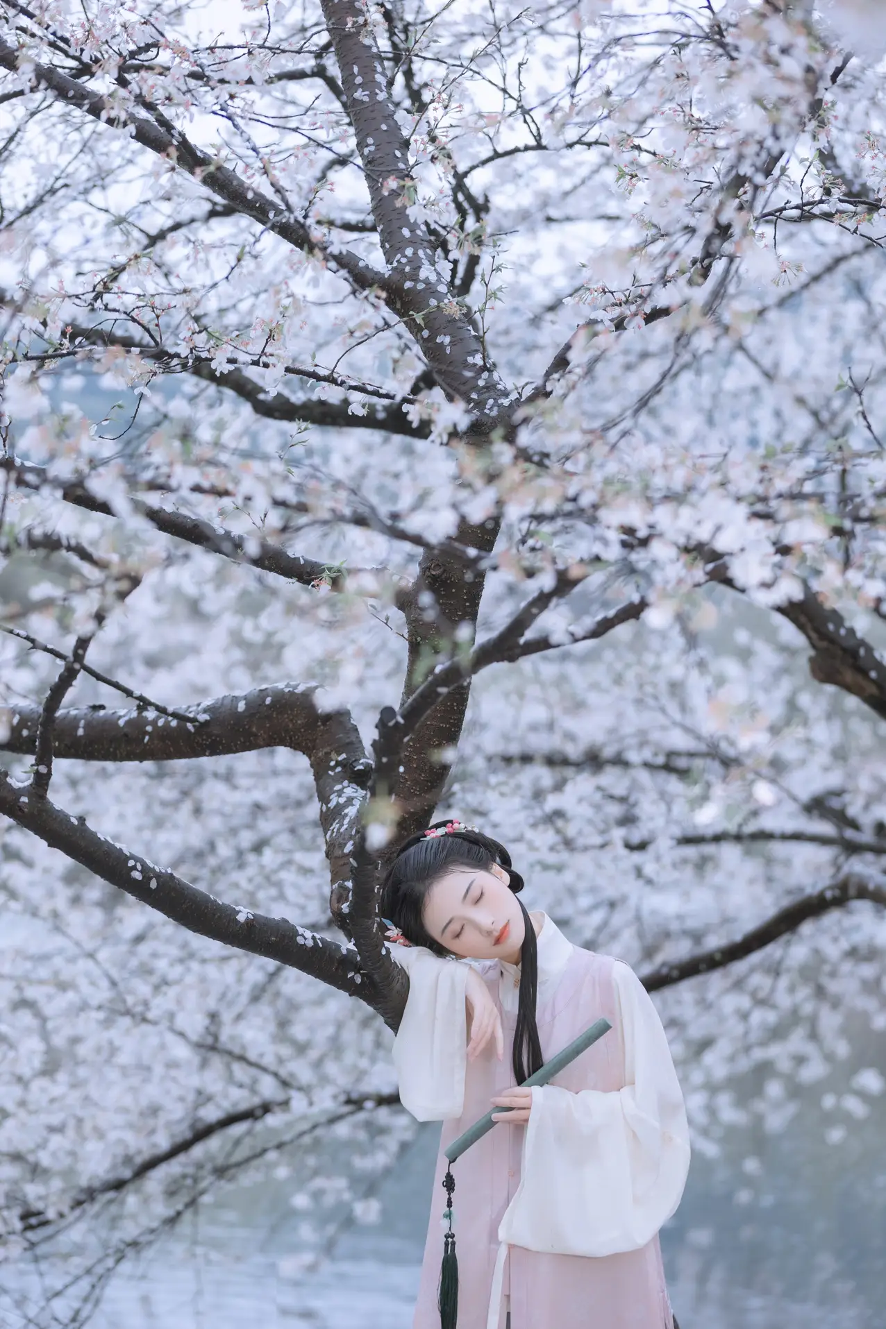 [艺图语] 2022.05.25 Vol.0984 – 雨樱花 眸小妖#[46P]-10