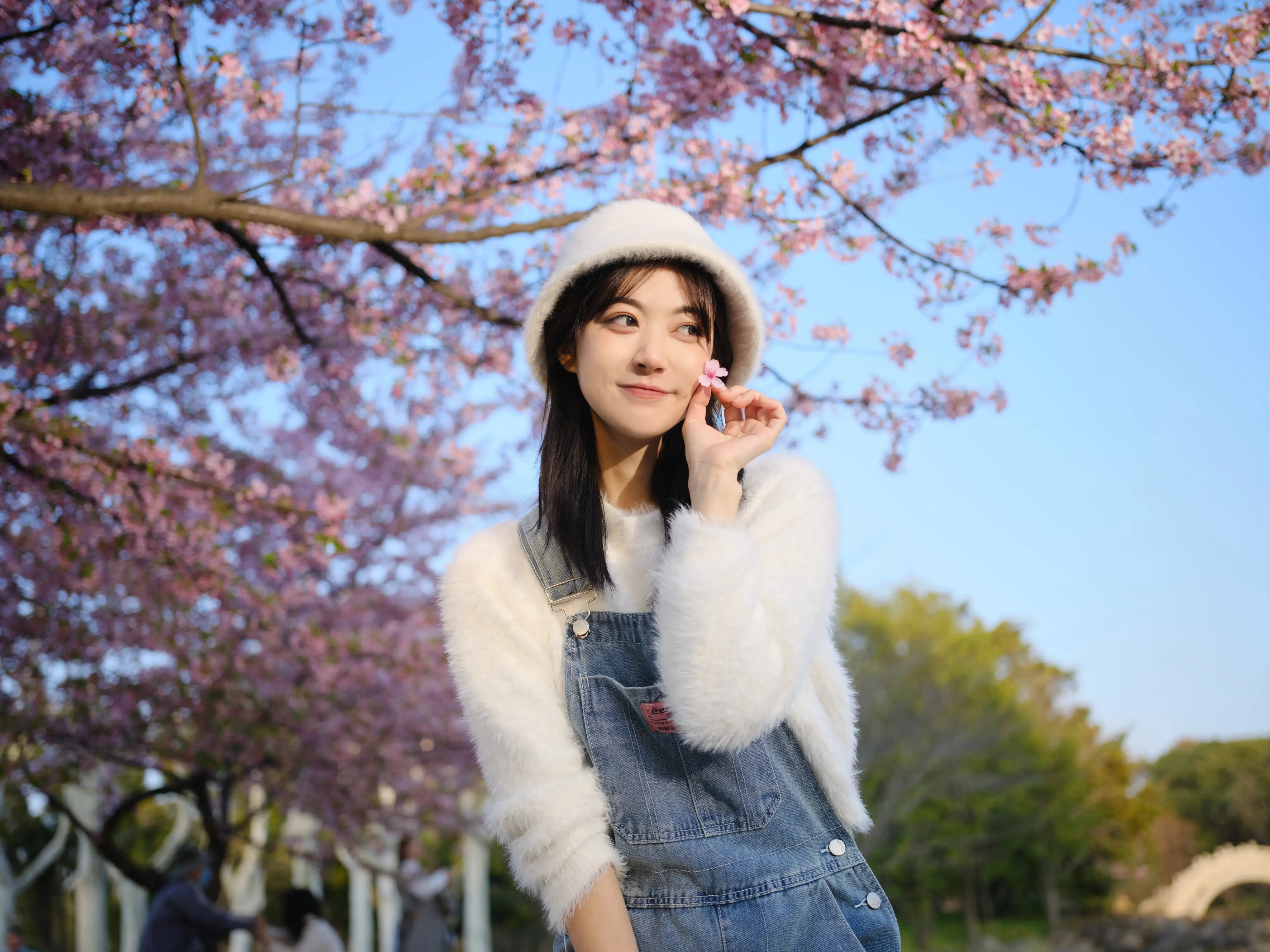 [艺图语] 2022.05.12 Vol.864 – 早樱 飞鸟咕咕-#[23P]-2