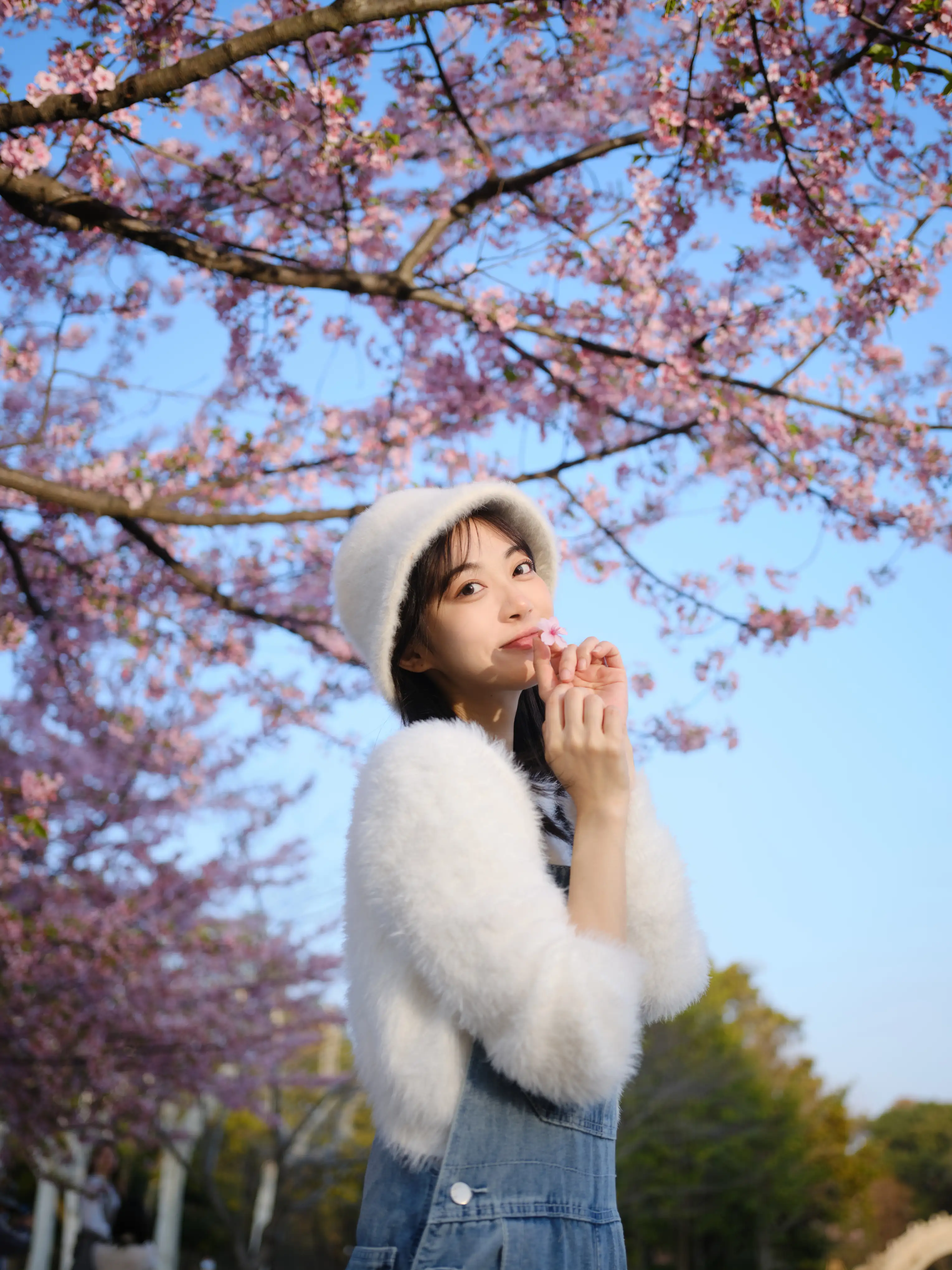 [艺图语] 2022.05.12 Vol.864 – 早樱 飞鸟咕咕-#[23P]-6