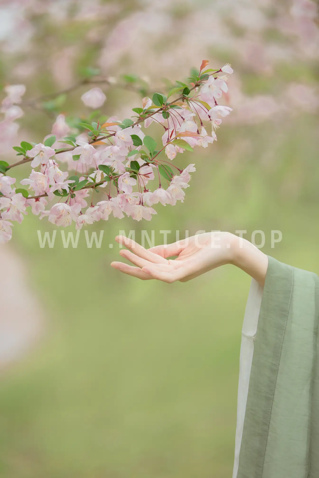 [艺图语] 2022.06.06 Vol.1100 – 山水有清音 王韵涵涵#[20P]-4