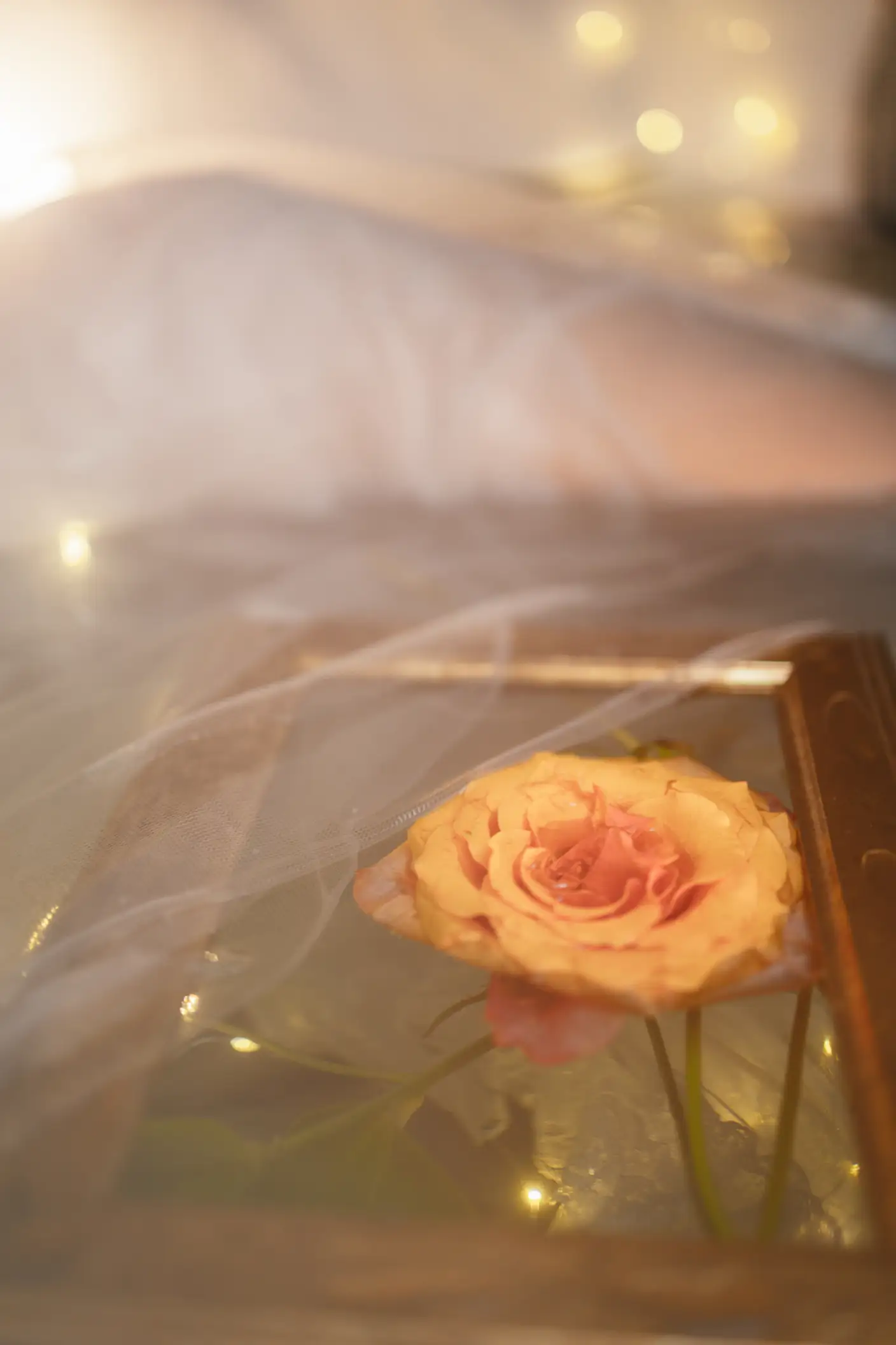 [艺图语] 2022.05.28 Vol.1014 – 梦莲 兔子Zzz不吃胡萝卜#[31P]-10