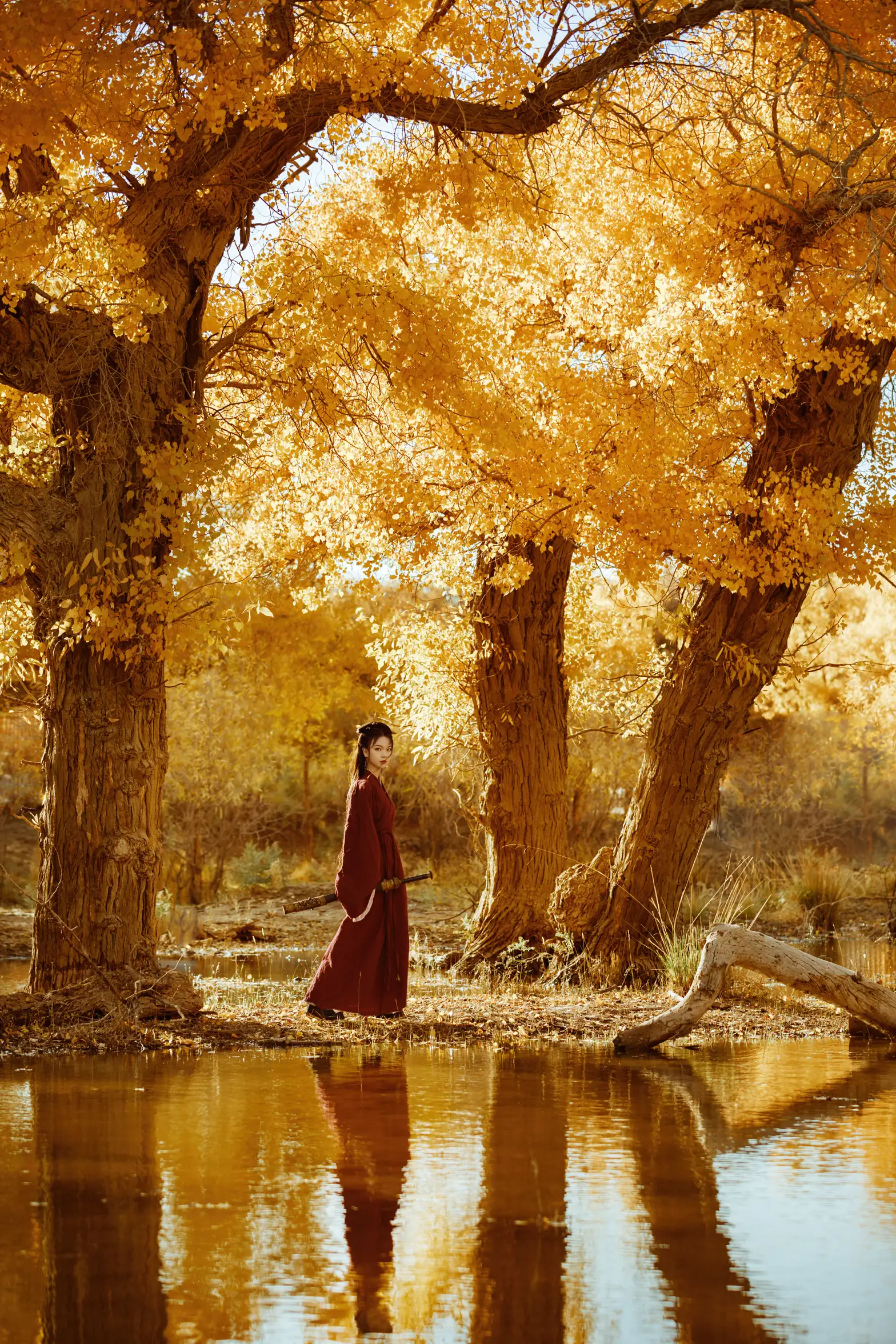 [艺图语] 2021.08.12 Vol.118 – 花木兰 薄菏#[39P]-6