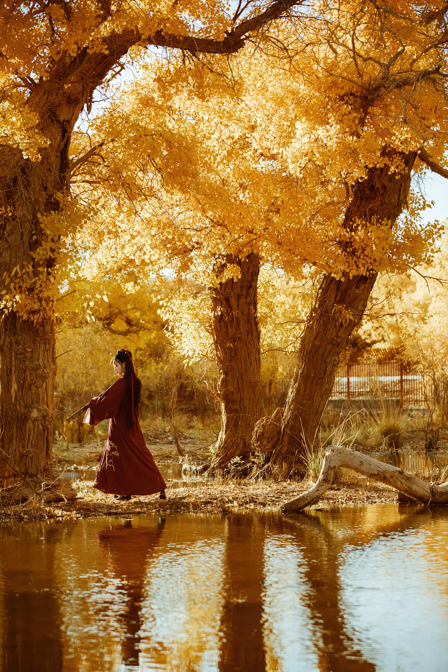 [艺图语] 2021.08.12 Vol.118 – 花木兰 薄菏#[39P]-7