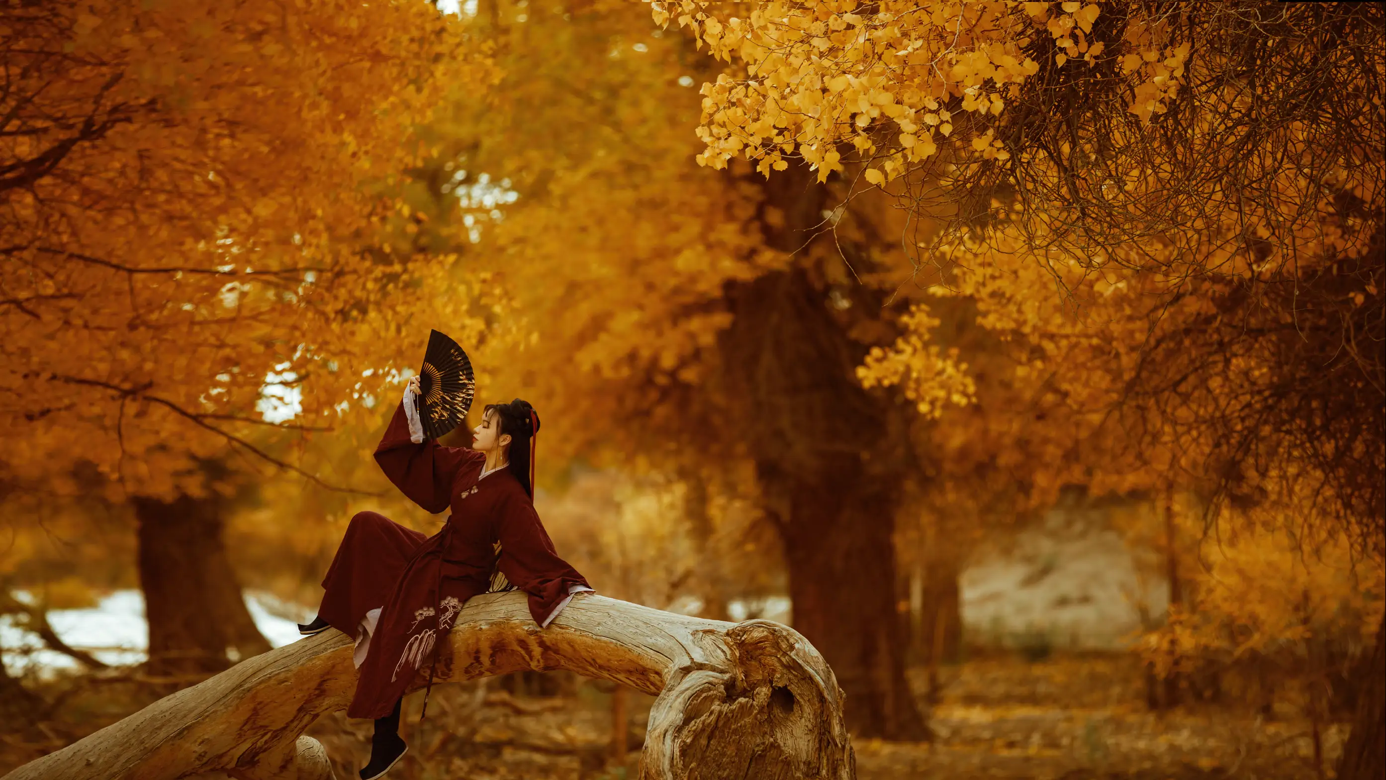 [艺图语] 2021.08.12 Vol.118 – 花木兰 薄菏#[39P]-6