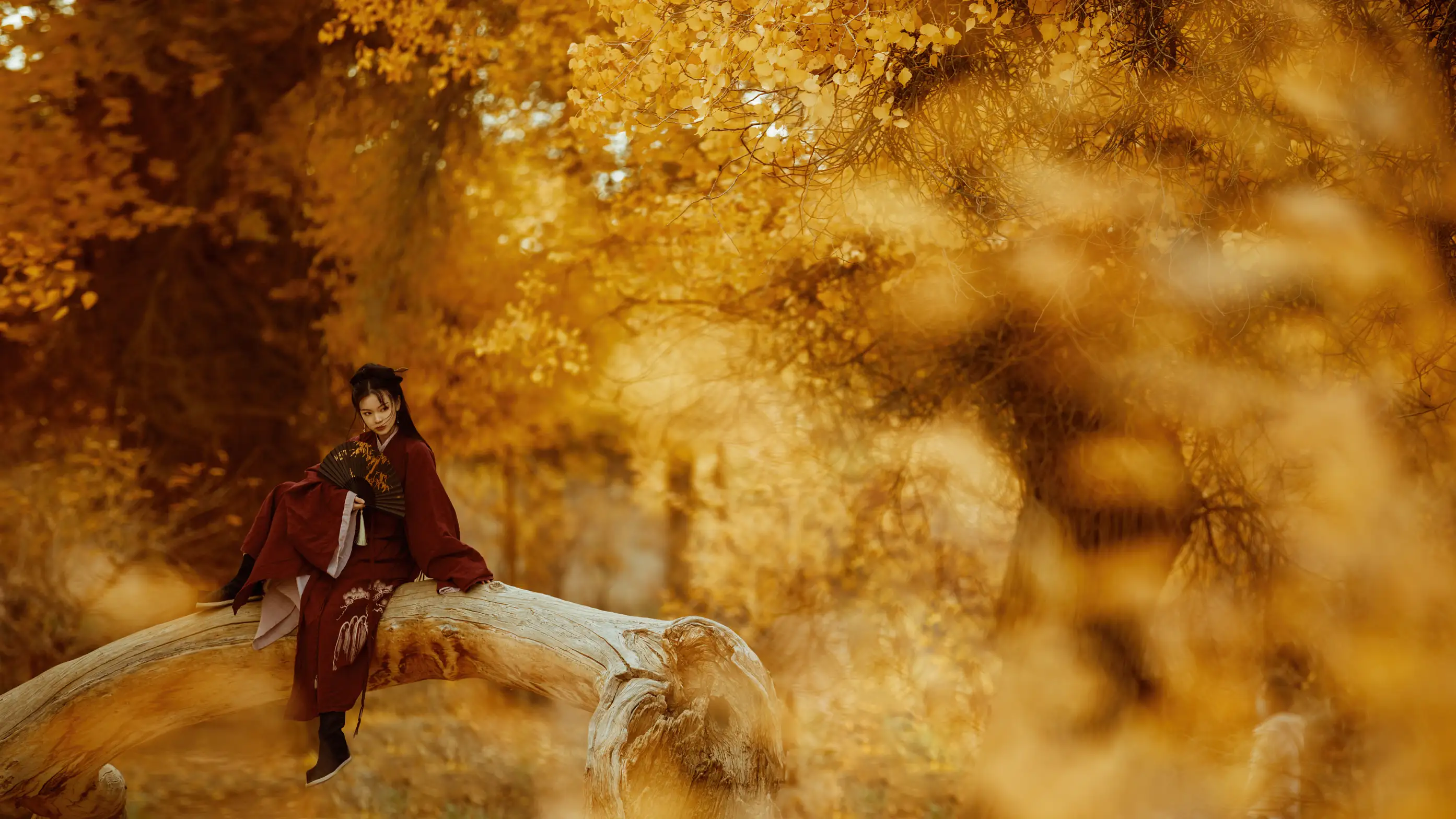 [艺图语] 2021.08.12 Vol.118 – 花木兰 薄菏#[39P]-7