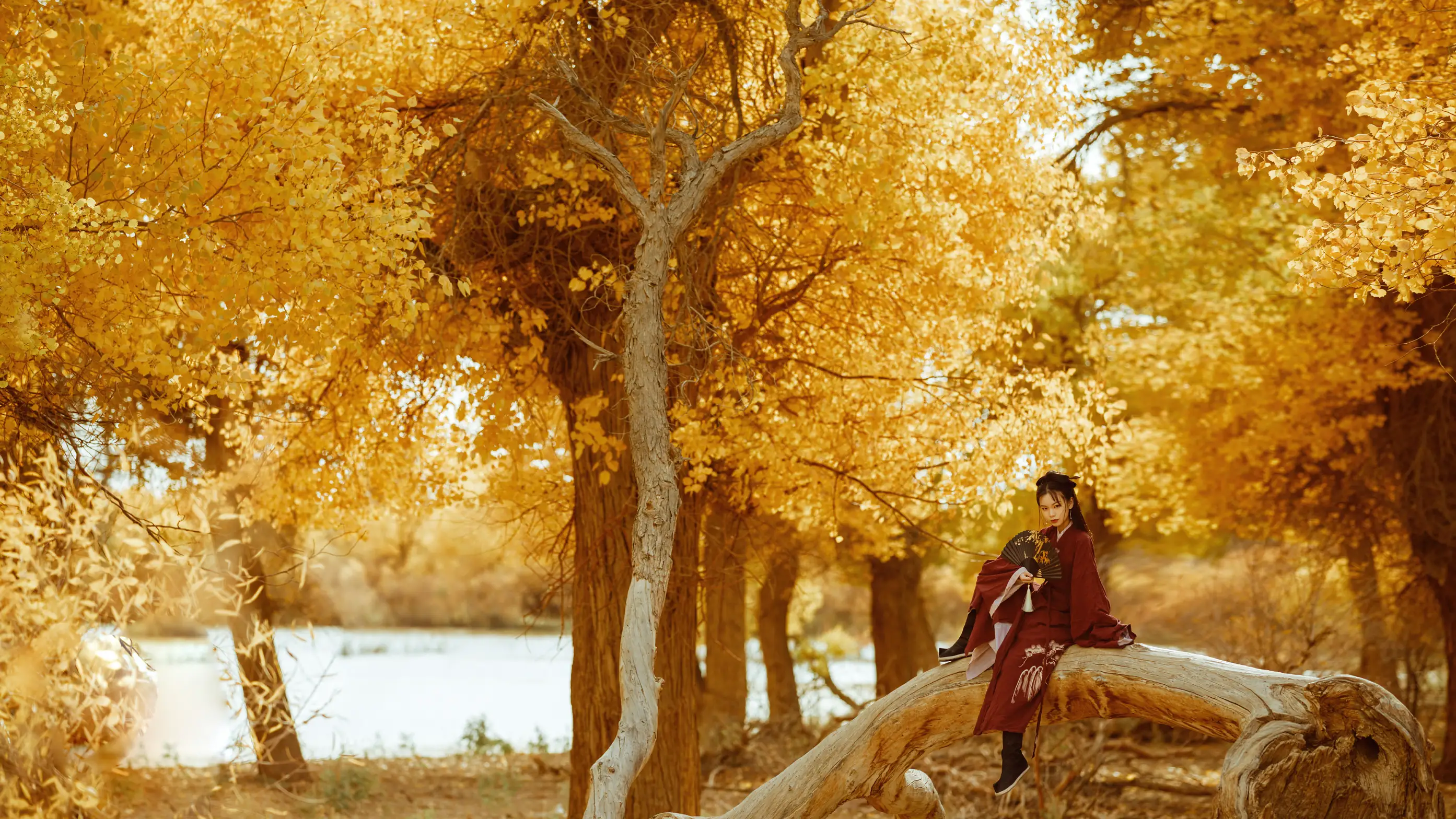 [艺图语] 2021.08.12 Vol.118 – 花木兰 薄菏#[39P]-8