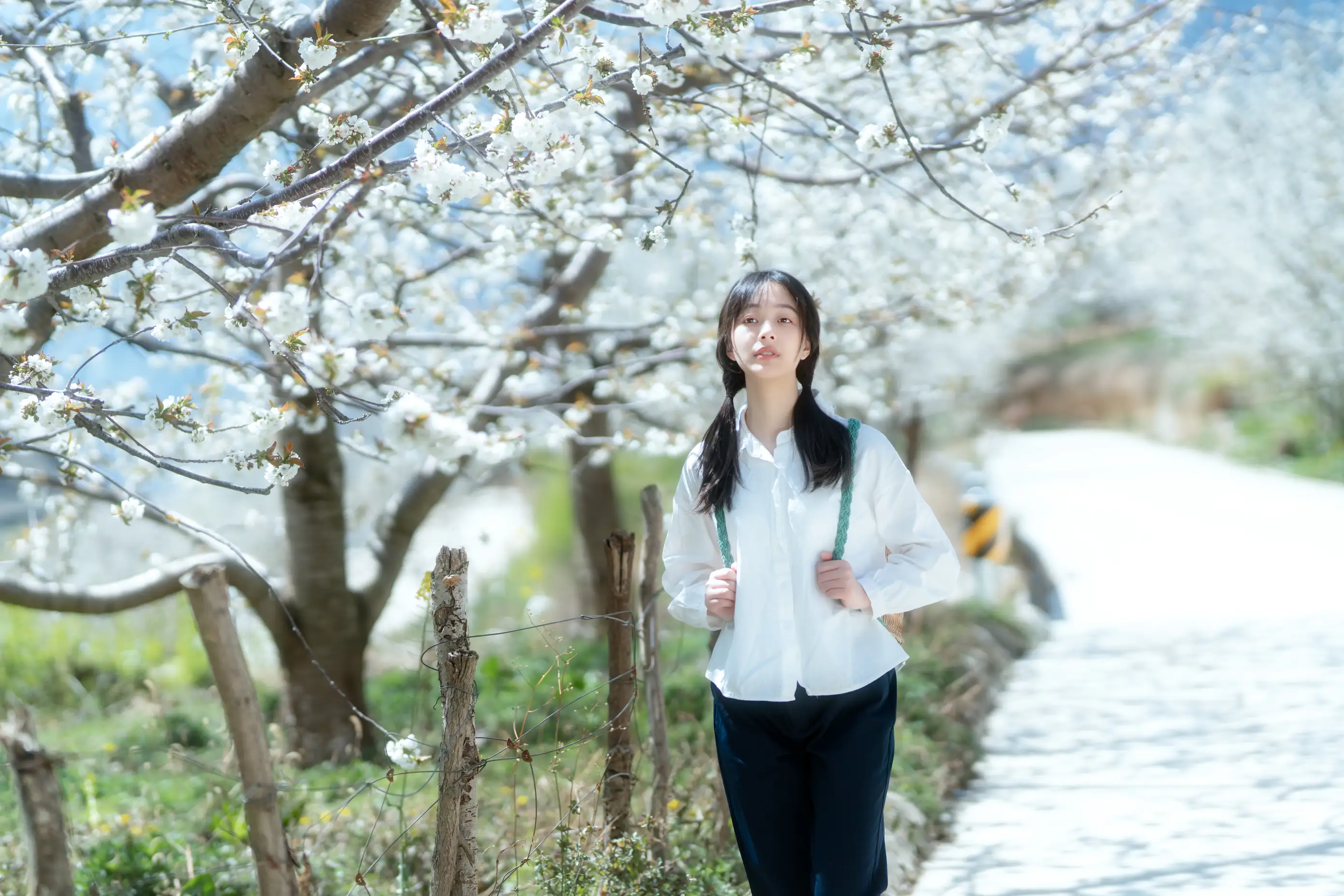 [艺图语] 2021.12.27 Vol.536 – 故乡的小燕子 欢欢#[36P]-10