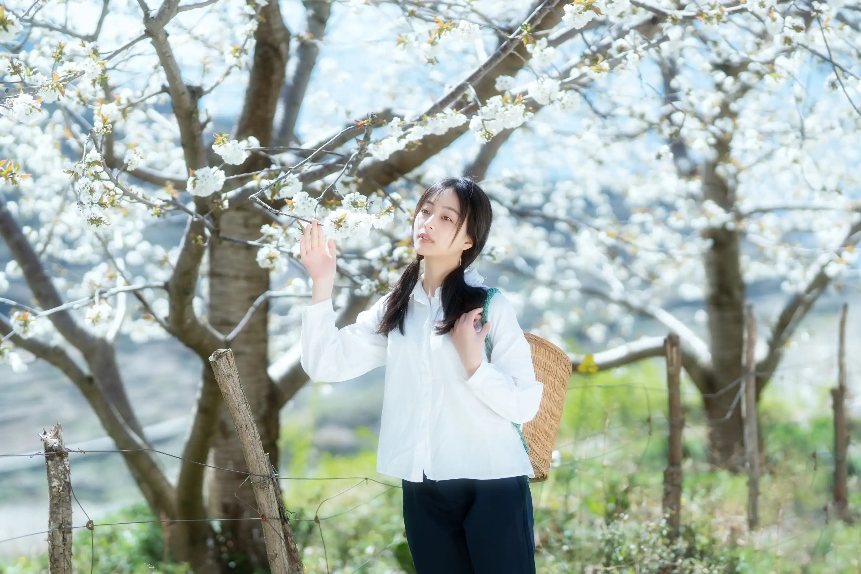 [艺图语] 2021.12.27 Vol.536 – 故乡的小燕子 欢欢#[36P]-2