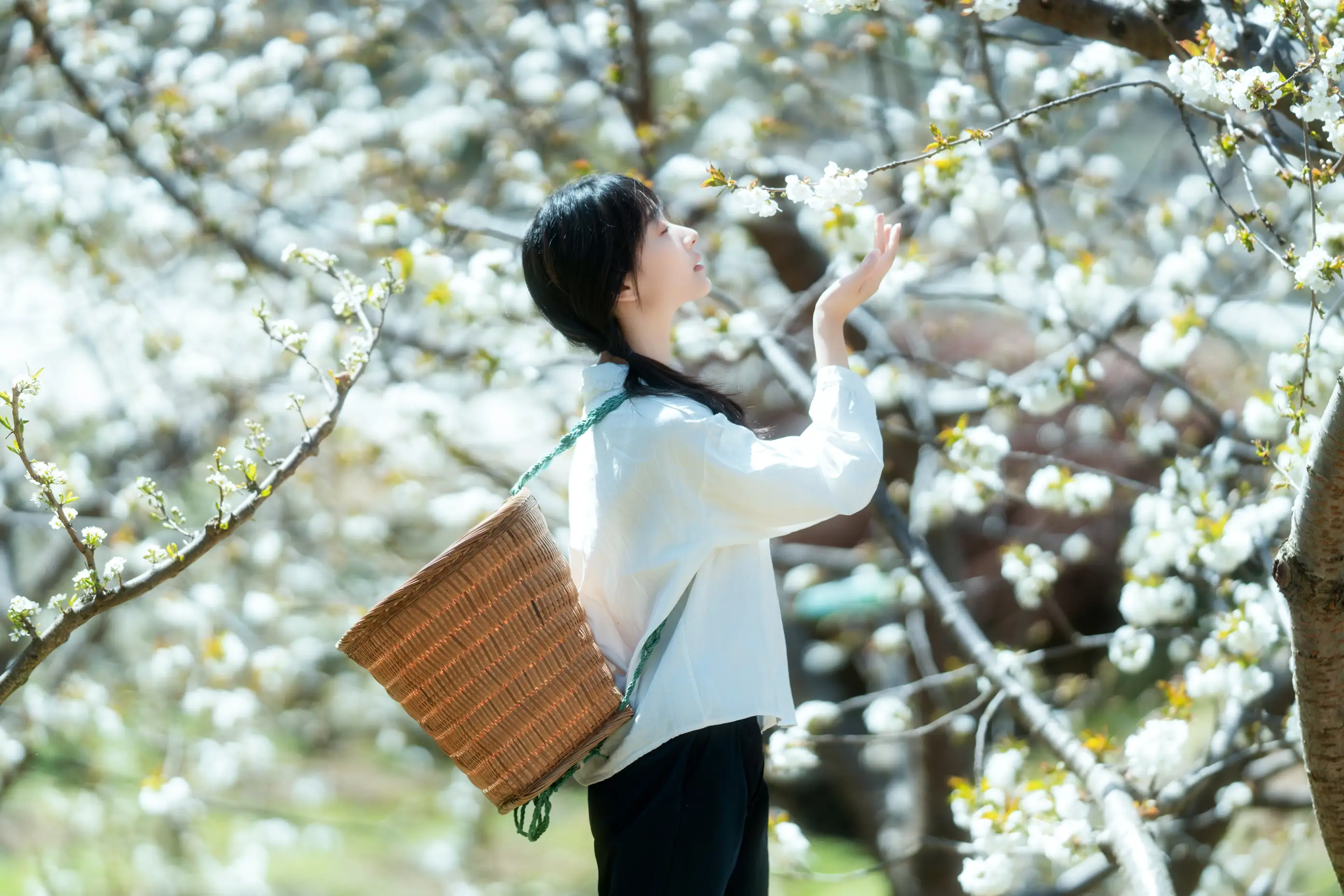 [艺图语] 2021.12.27 Vol.536 – 故乡的小燕子 欢欢#[36P]-3