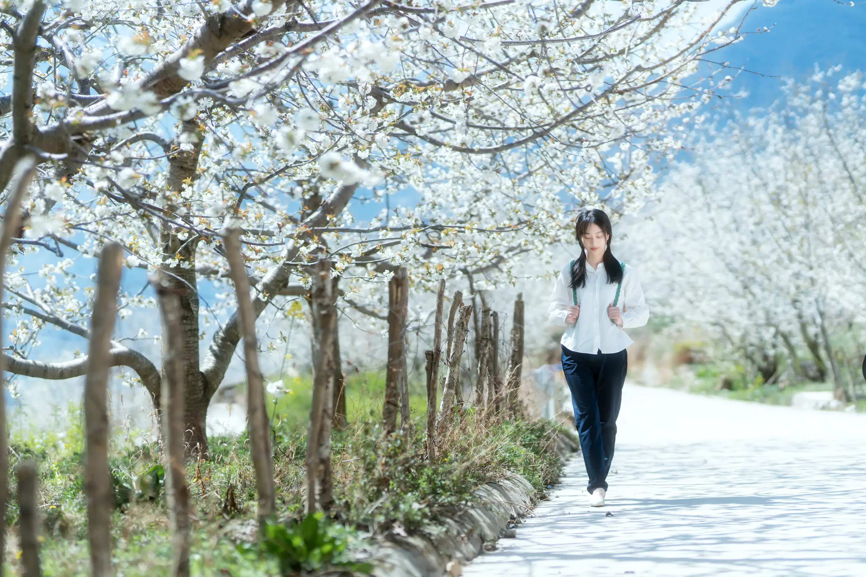 [艺图语] 2021.12.27 Vol.536 – 故乡的小燕子 欢欢#[36P]-4