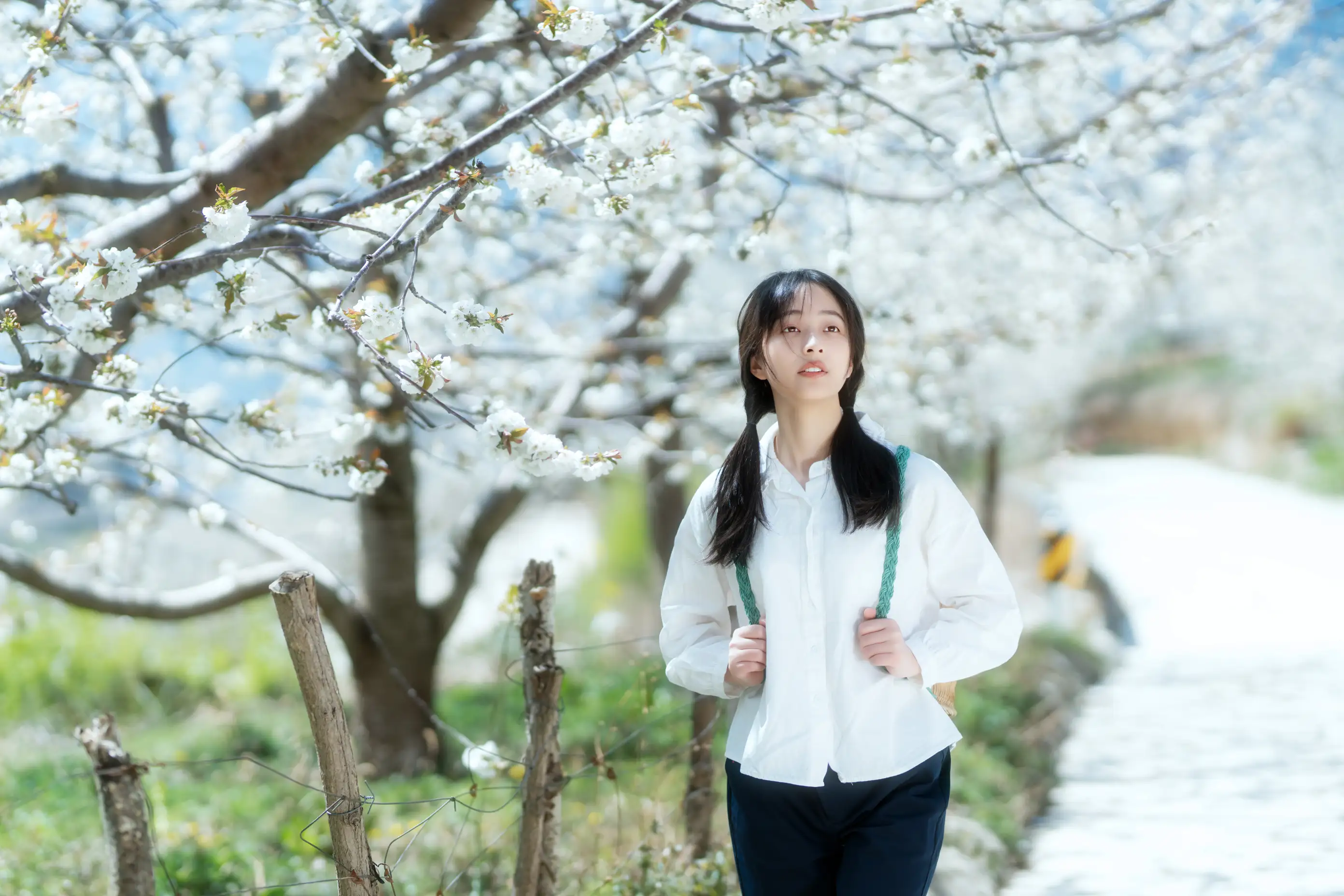 [艺图语] 2021.12.27 Vol.536 – 故乡的小燕子 欢欢#[36P]-5