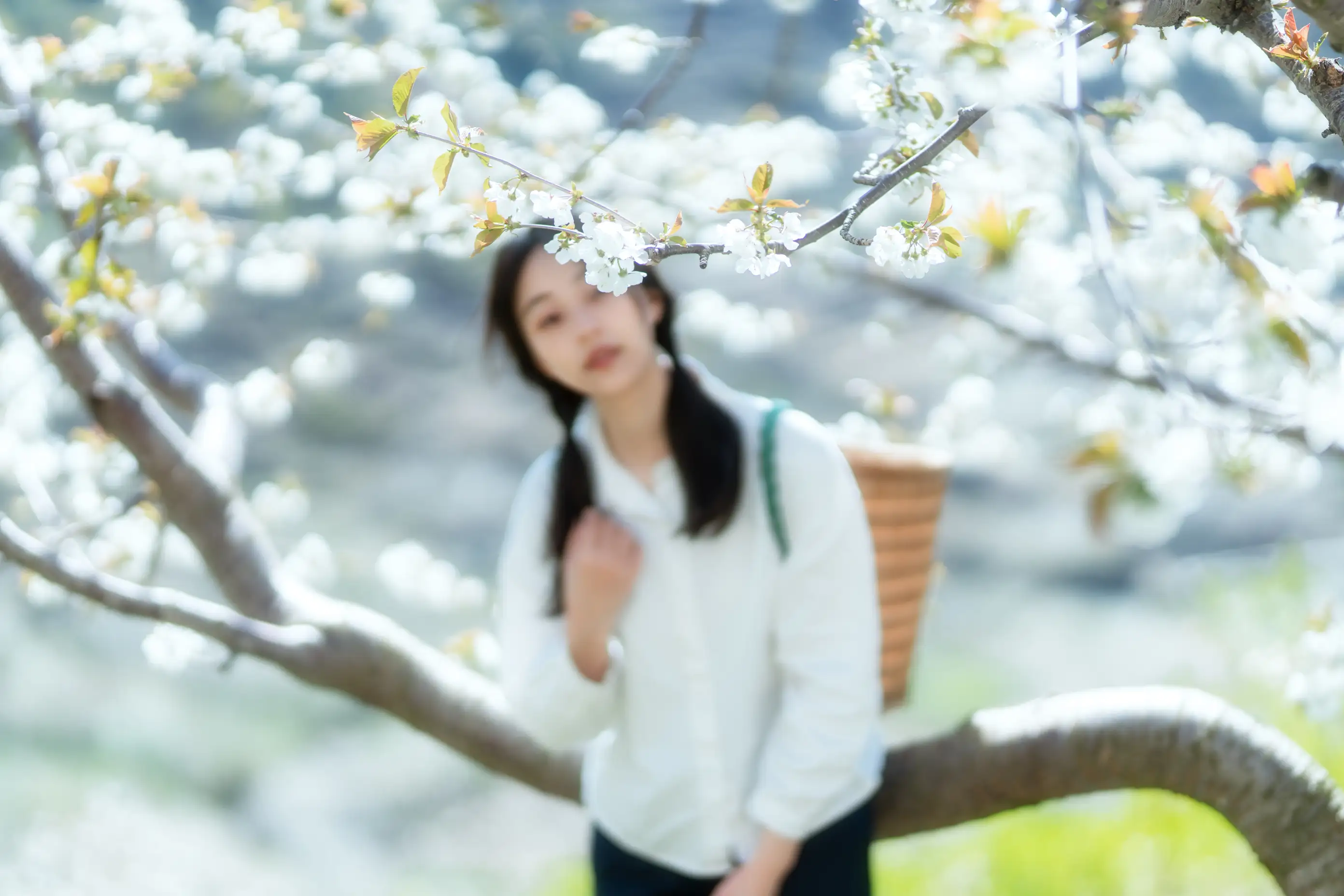 [艺图语] 2021.12.27 Vol.536 – 故乡的小燕子 欢欢#[36P]-7